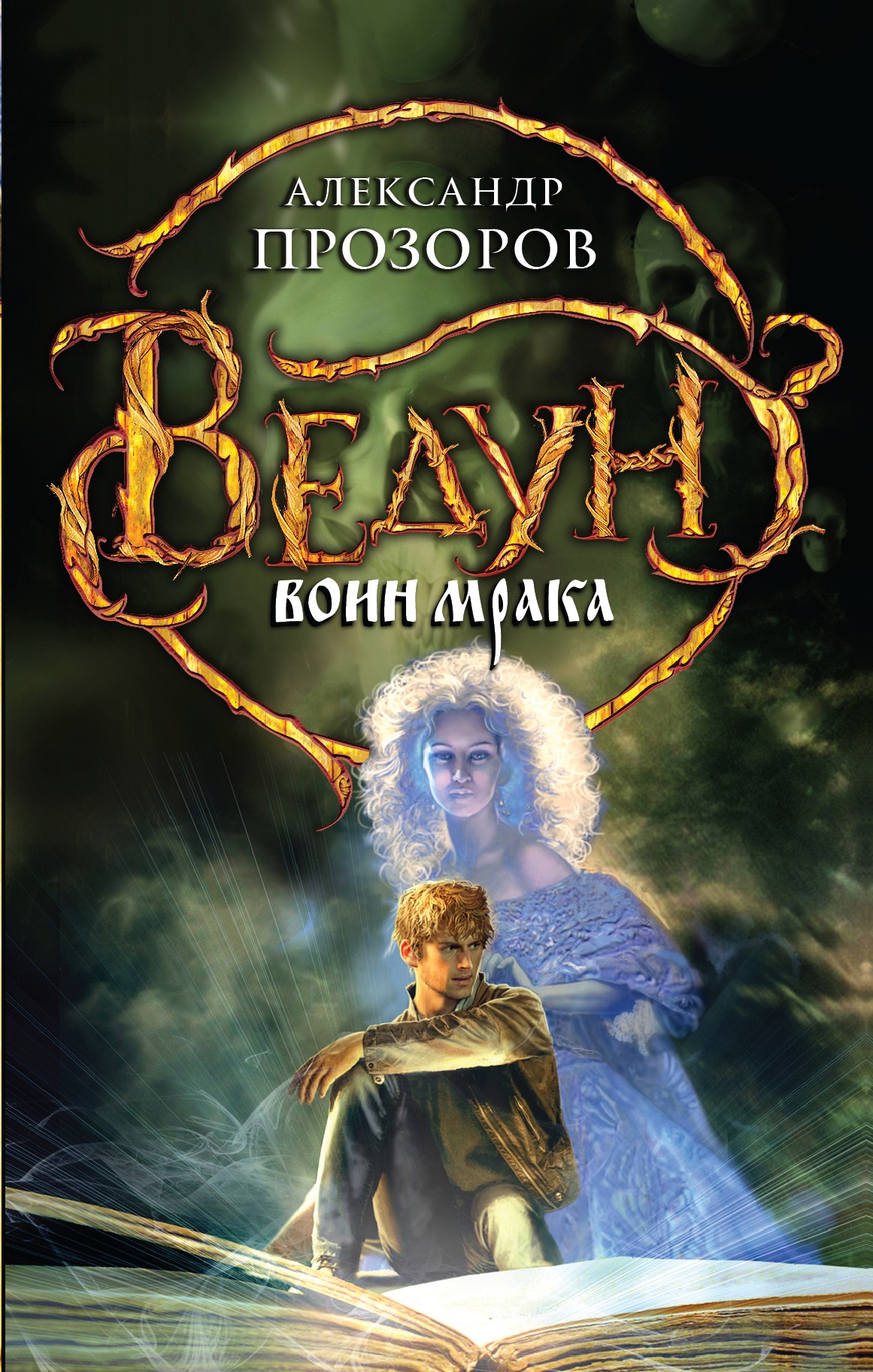 Обложка книги «Воин мрака»
