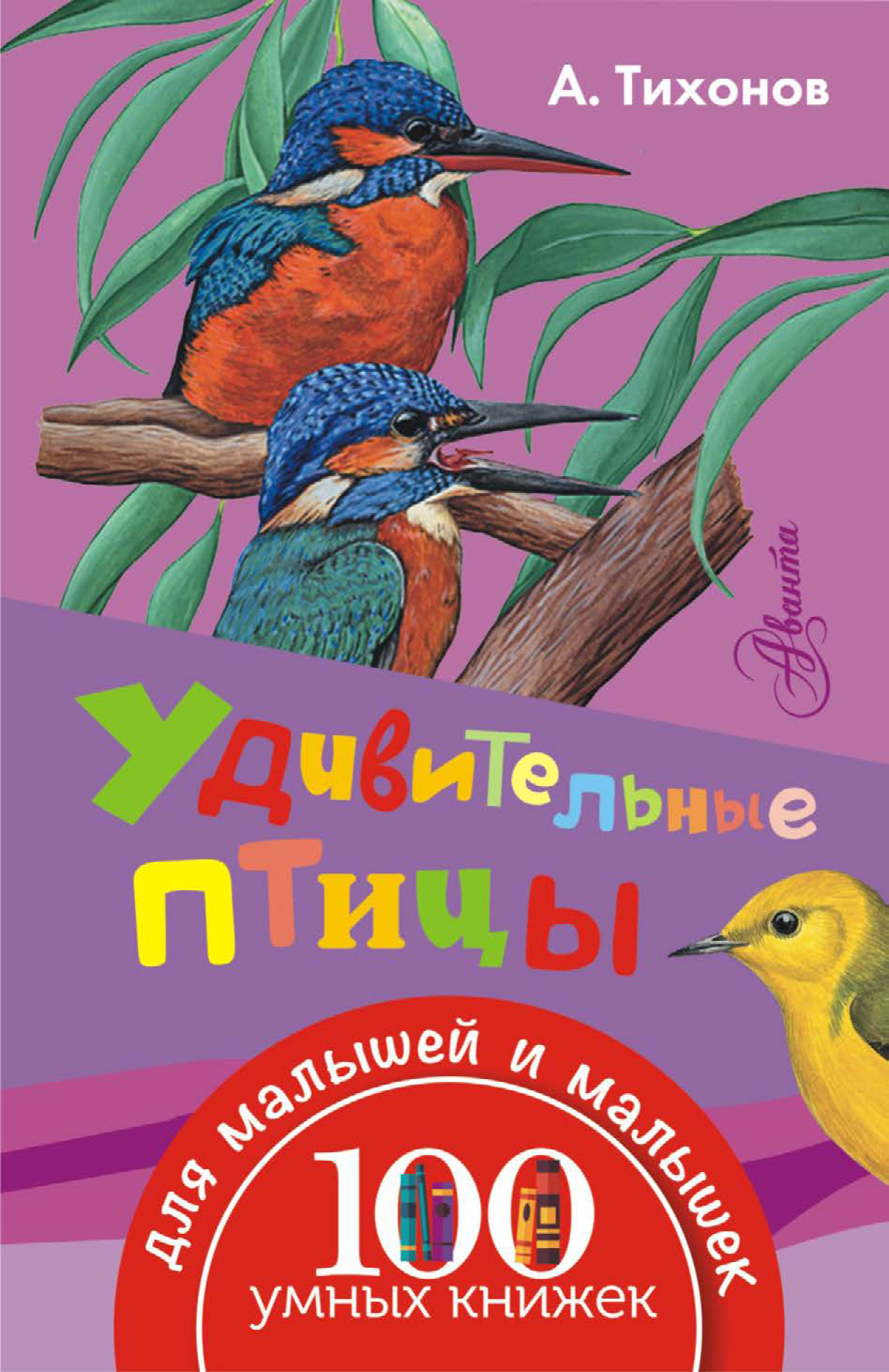 Обложка книги «Удивительные птицы»