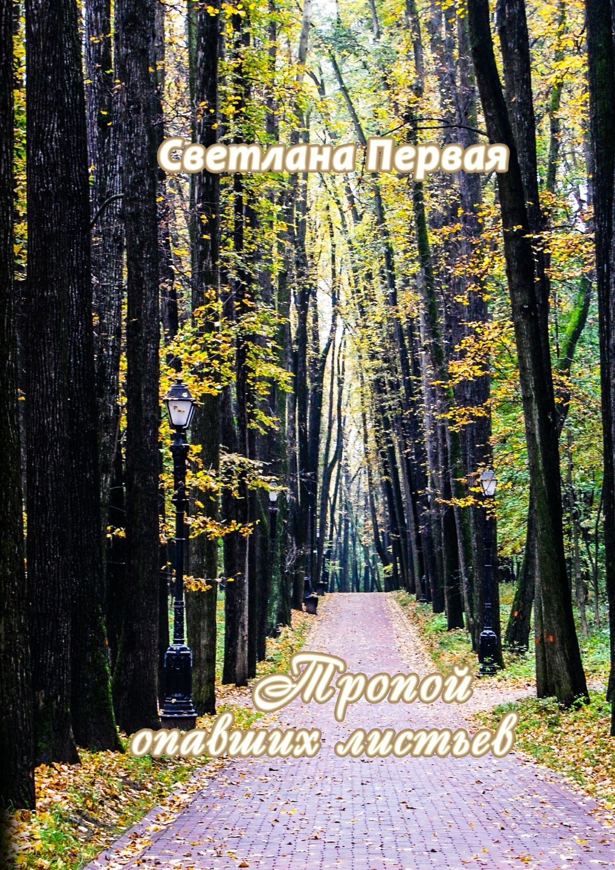 Обложка книги «Тропой опавших листьев. Сборник стихотворений»
