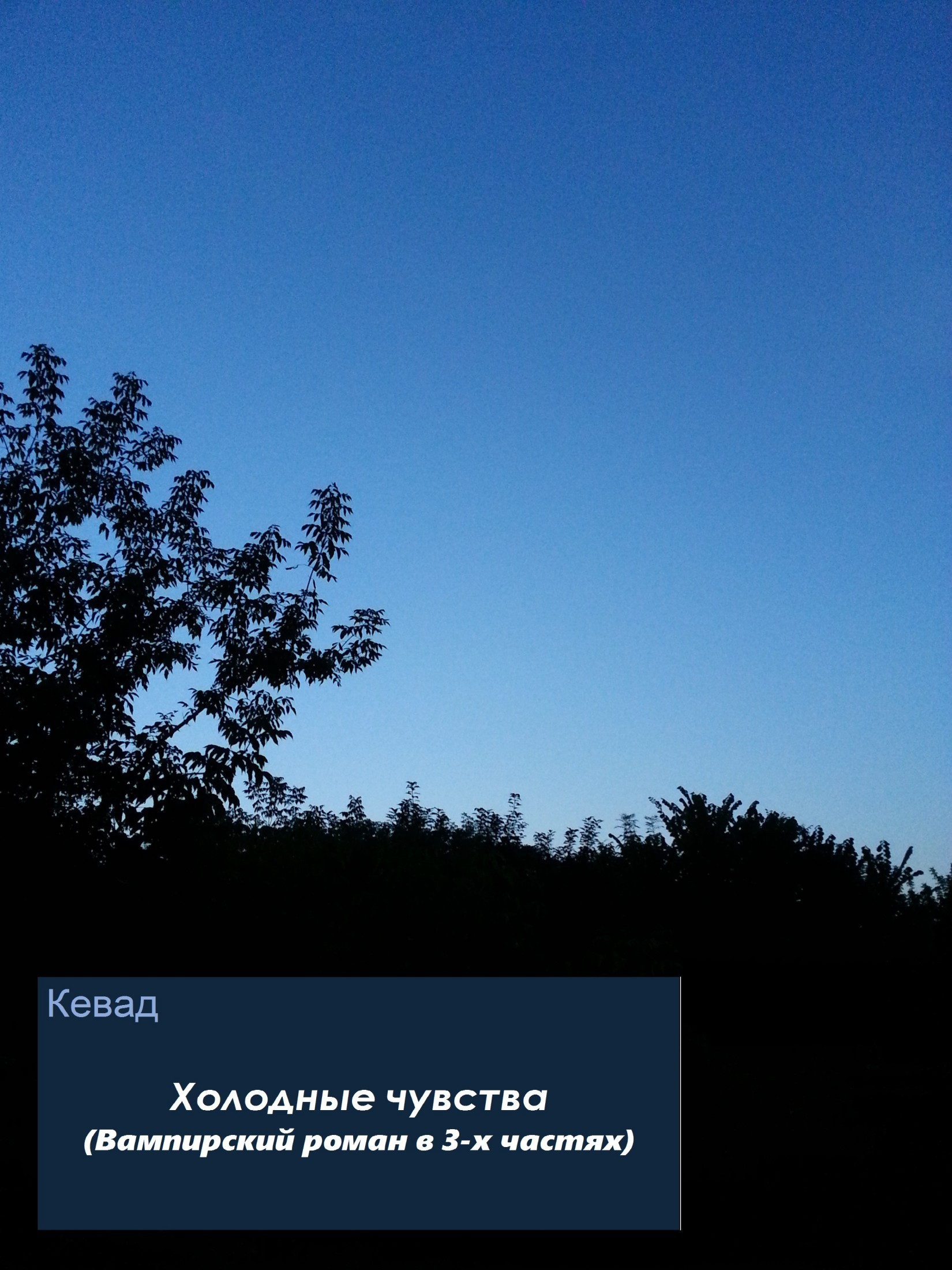 Обложка книги «Холодные чувства. Вампирский роман»