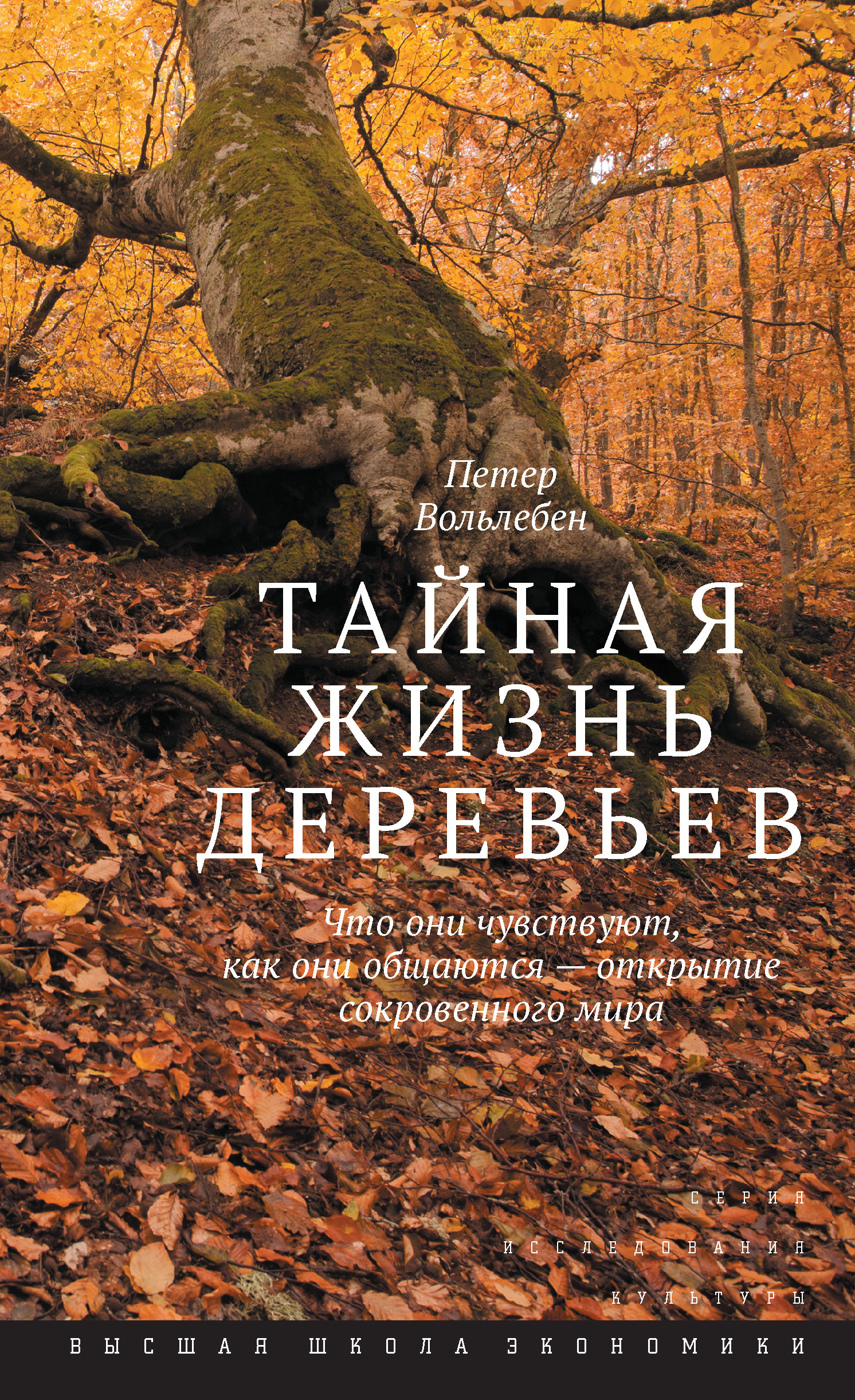 Обложка книги «Тайная жизнь деревьев. Что они чувствуют, как они общаются – открытие сокровенного мира»