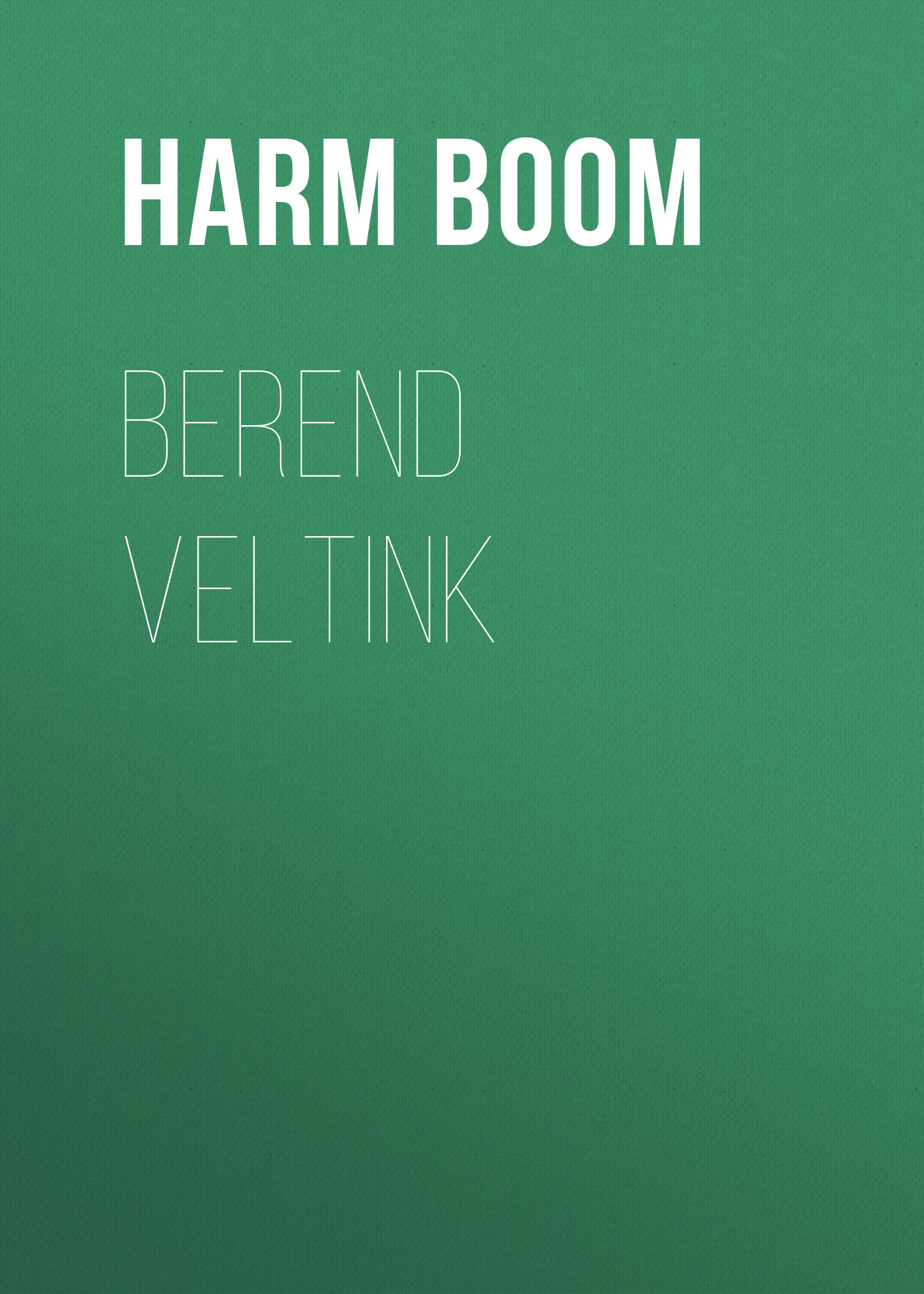 Обложка книги «Berend Veltink»