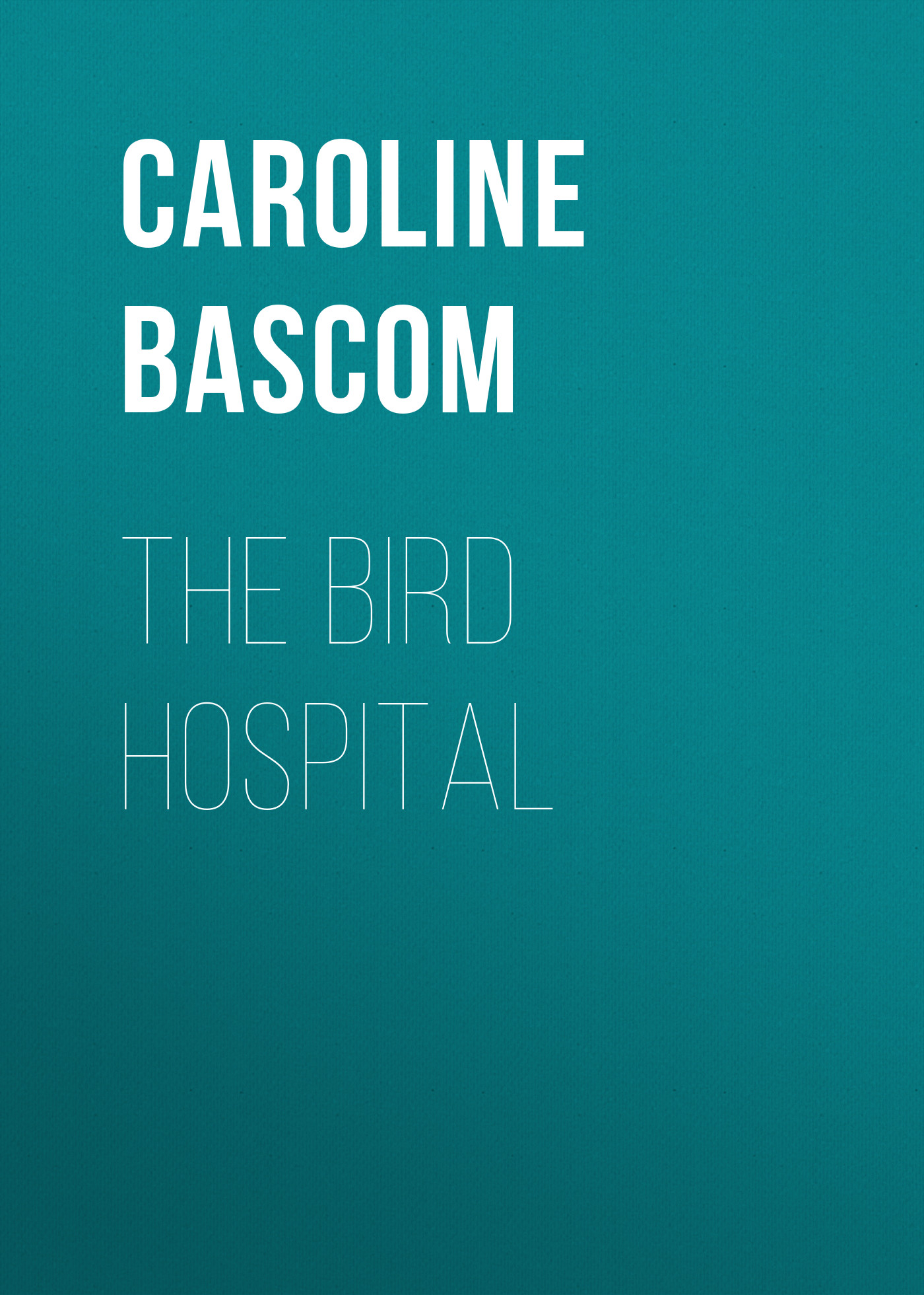 Обложка книги «The Bird Hospital»