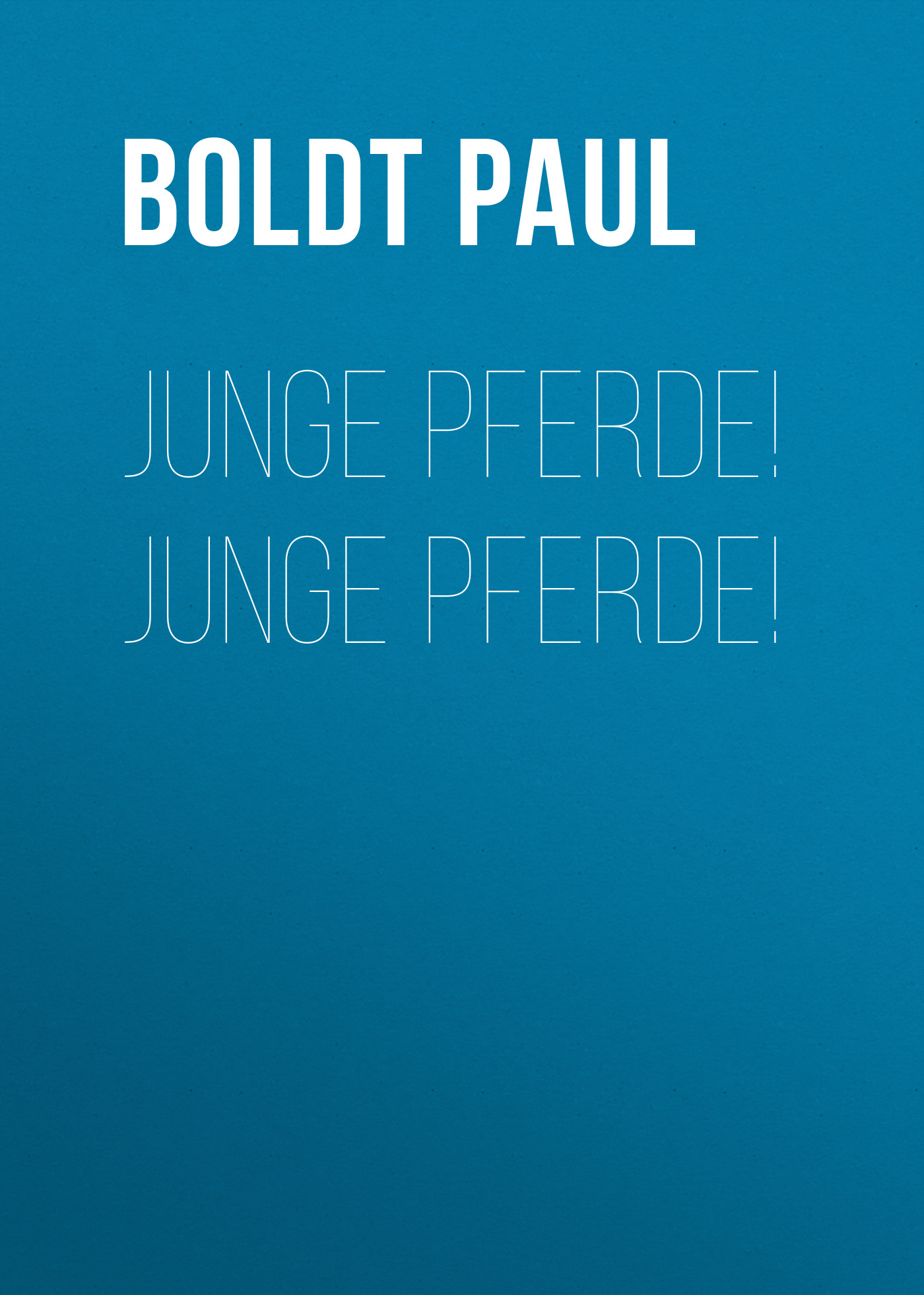 Обложка книги «Junge Pferde! Junge Pferde!»