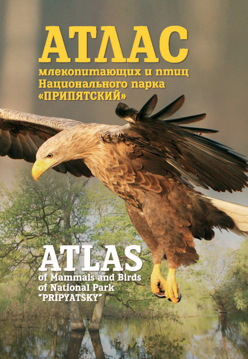 Обложка книги «Атлас млекопитающих и птиц Национального парка «Припятский». Atlas of Mammals and Birds of National Park «Pripyatsky»»