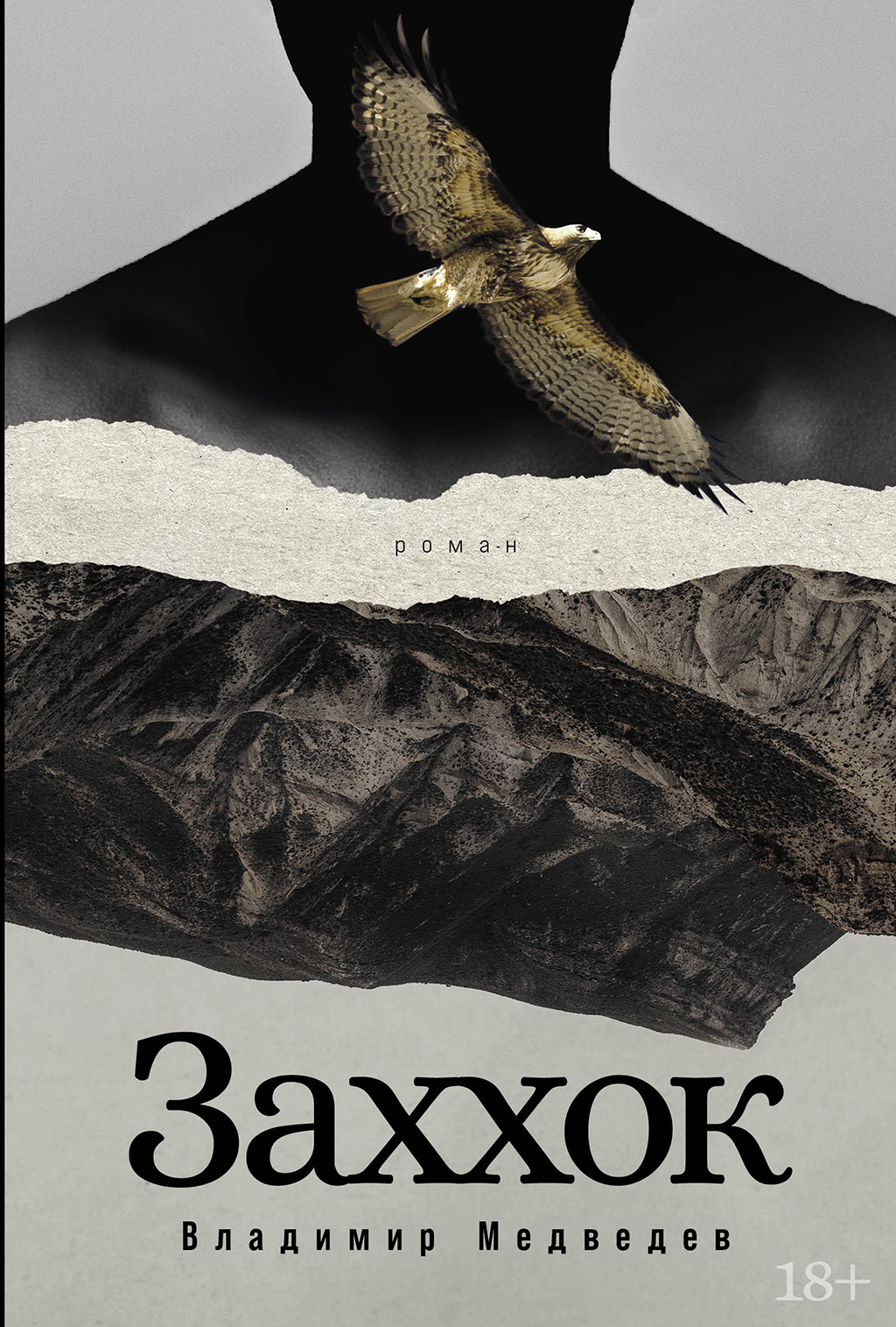 Обложка книги «Заххок»