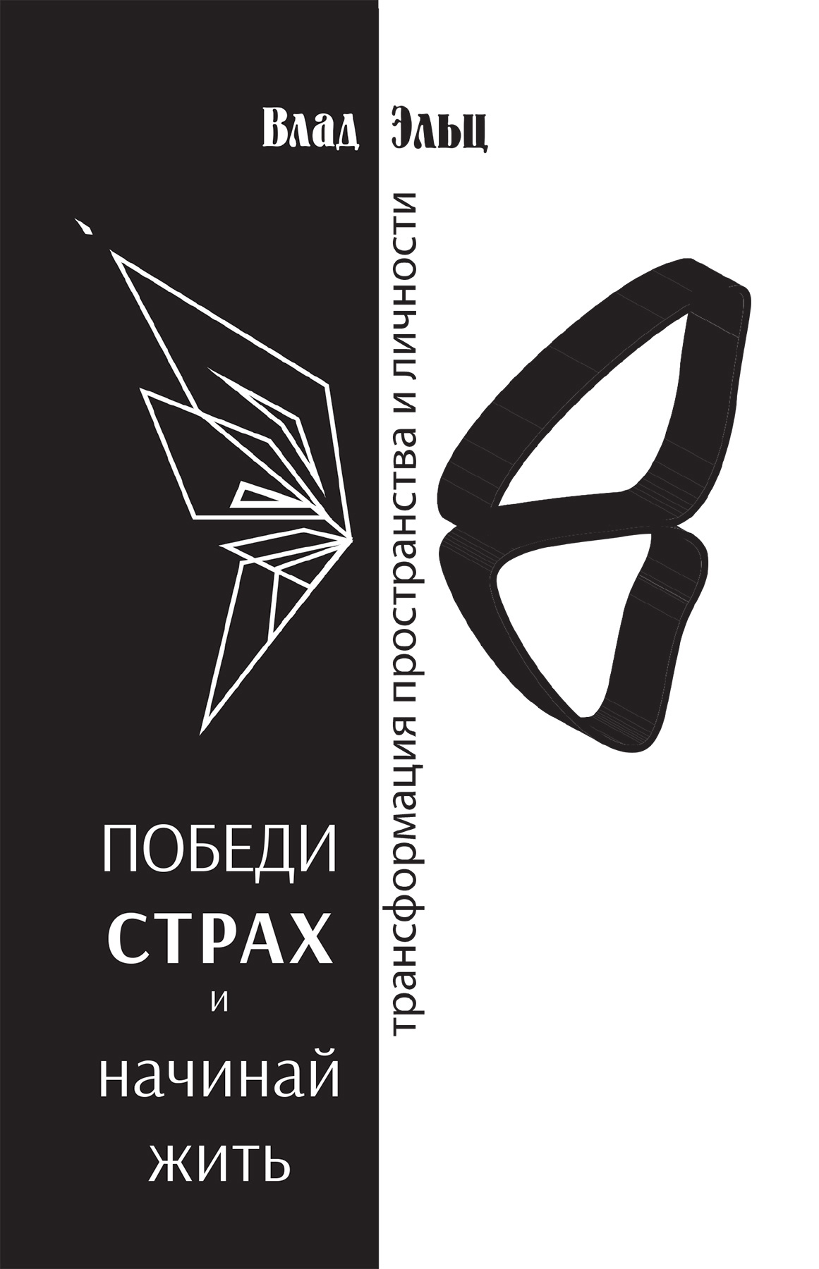 Обложка книги «Победи страх и начинай жить. Трансформация пространства и личности»