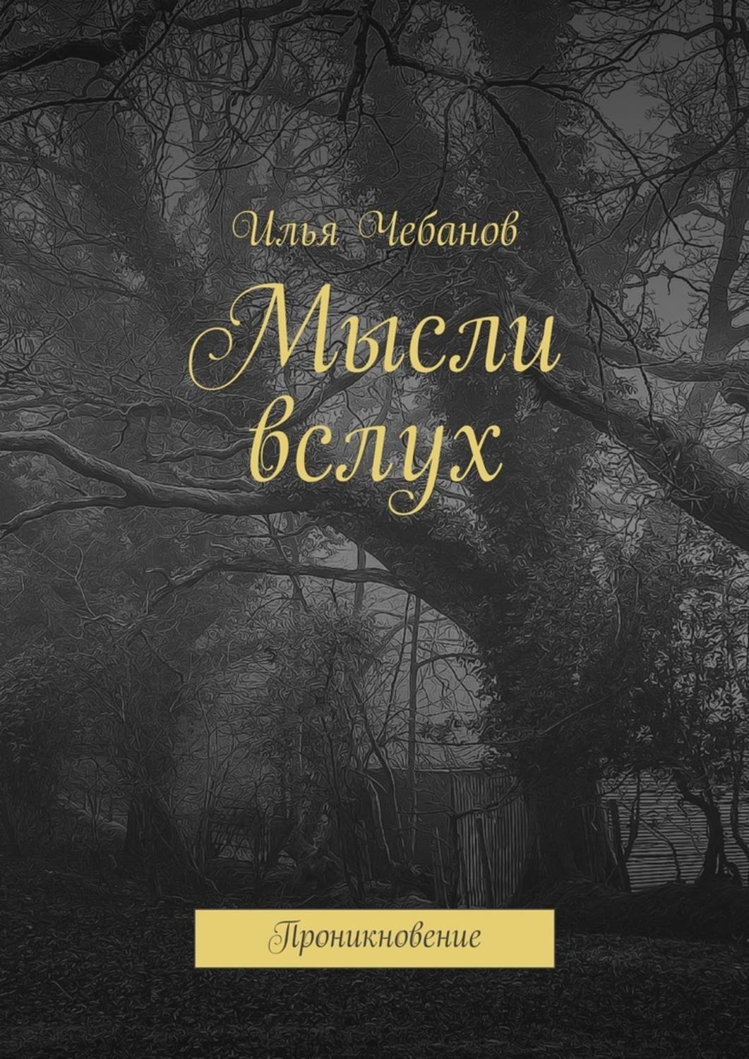 Обложка книги «Мысли вслух. Проникновение»