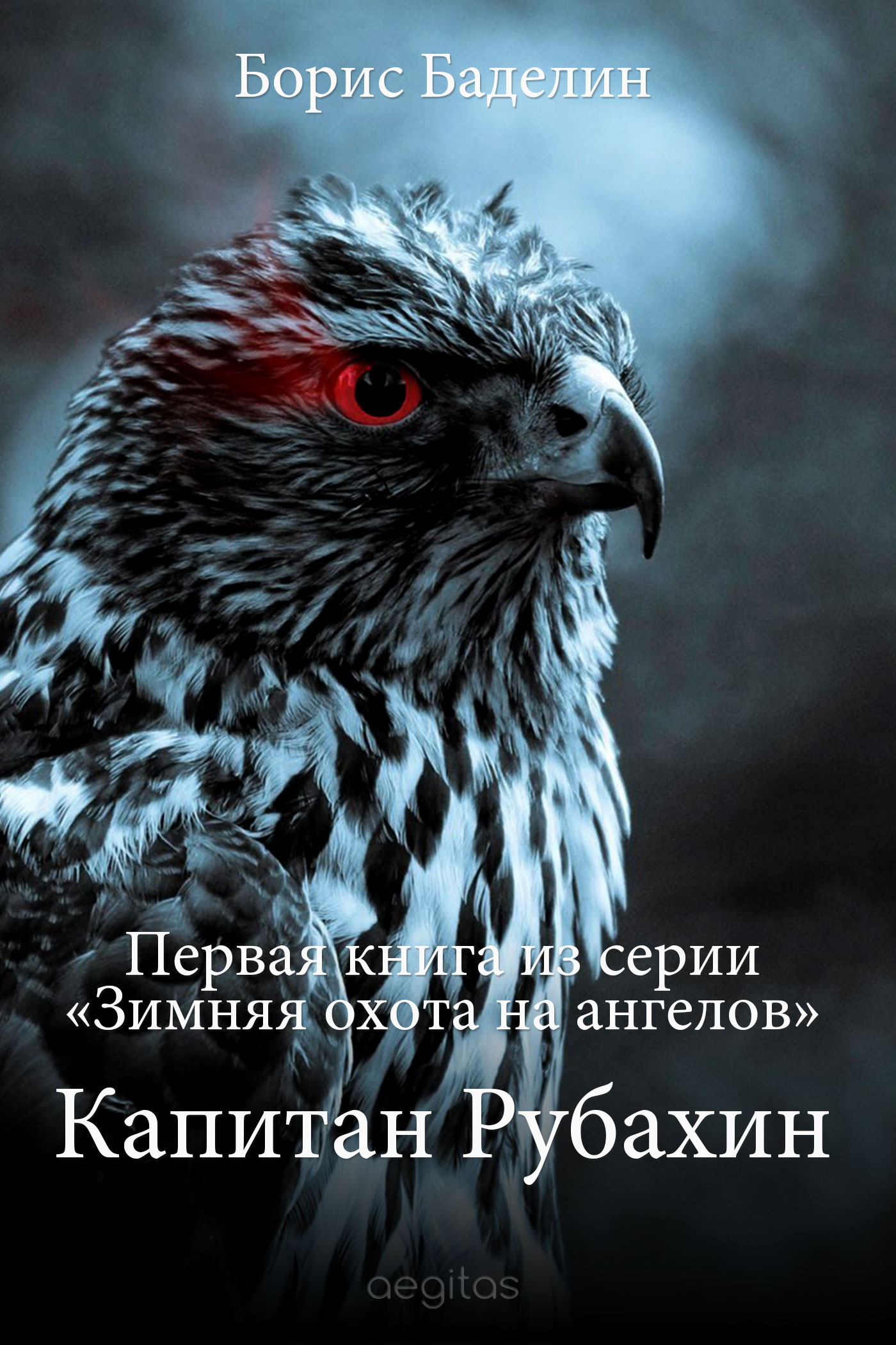 Обложка книги «Капитан Рубахин»