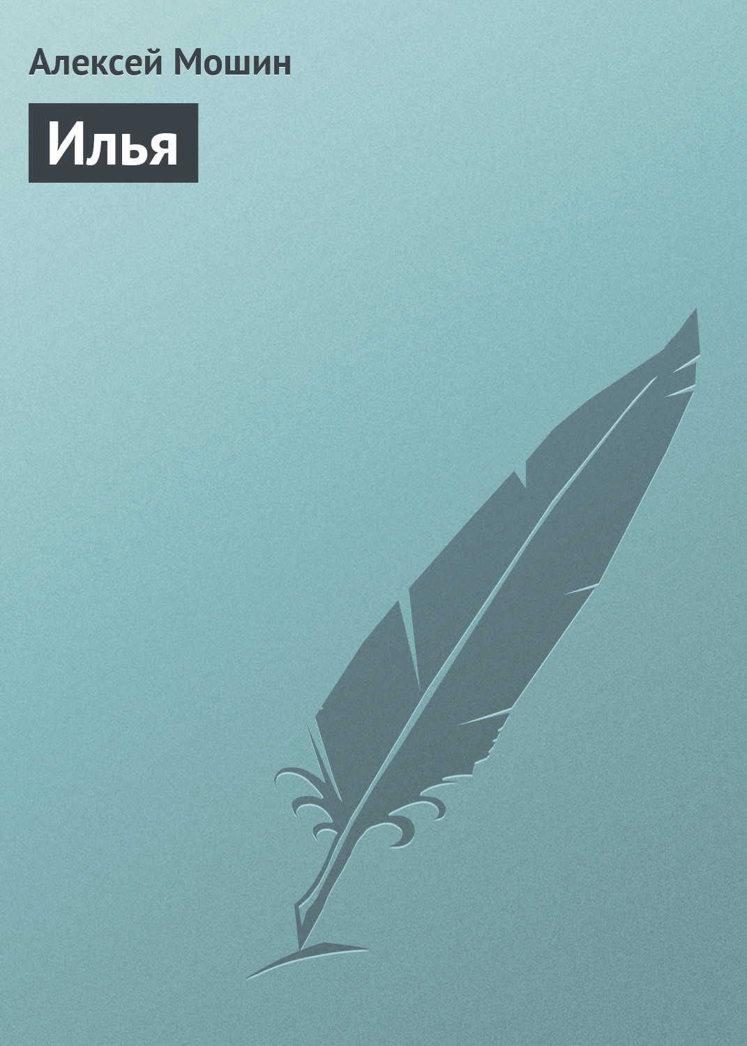 Обложка книги «Илья»
