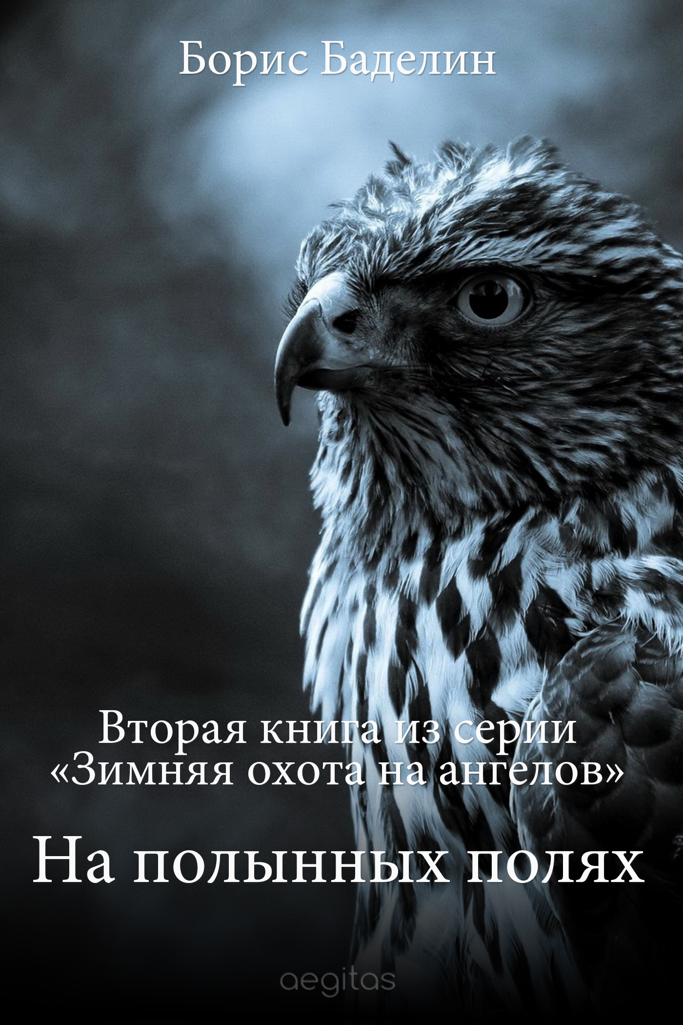 Обложка книги «На полынных полях»