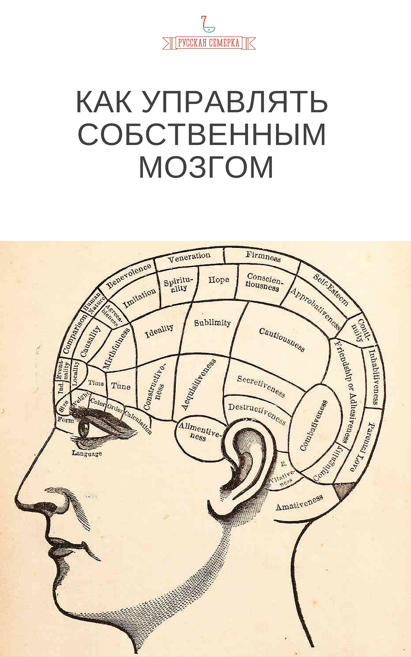 Обложка книги «Как управлять собственным мозгом»