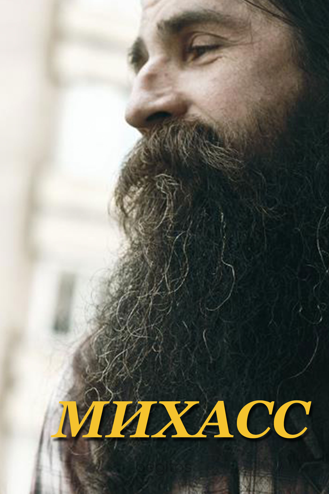 Обложка книги «Михасс»