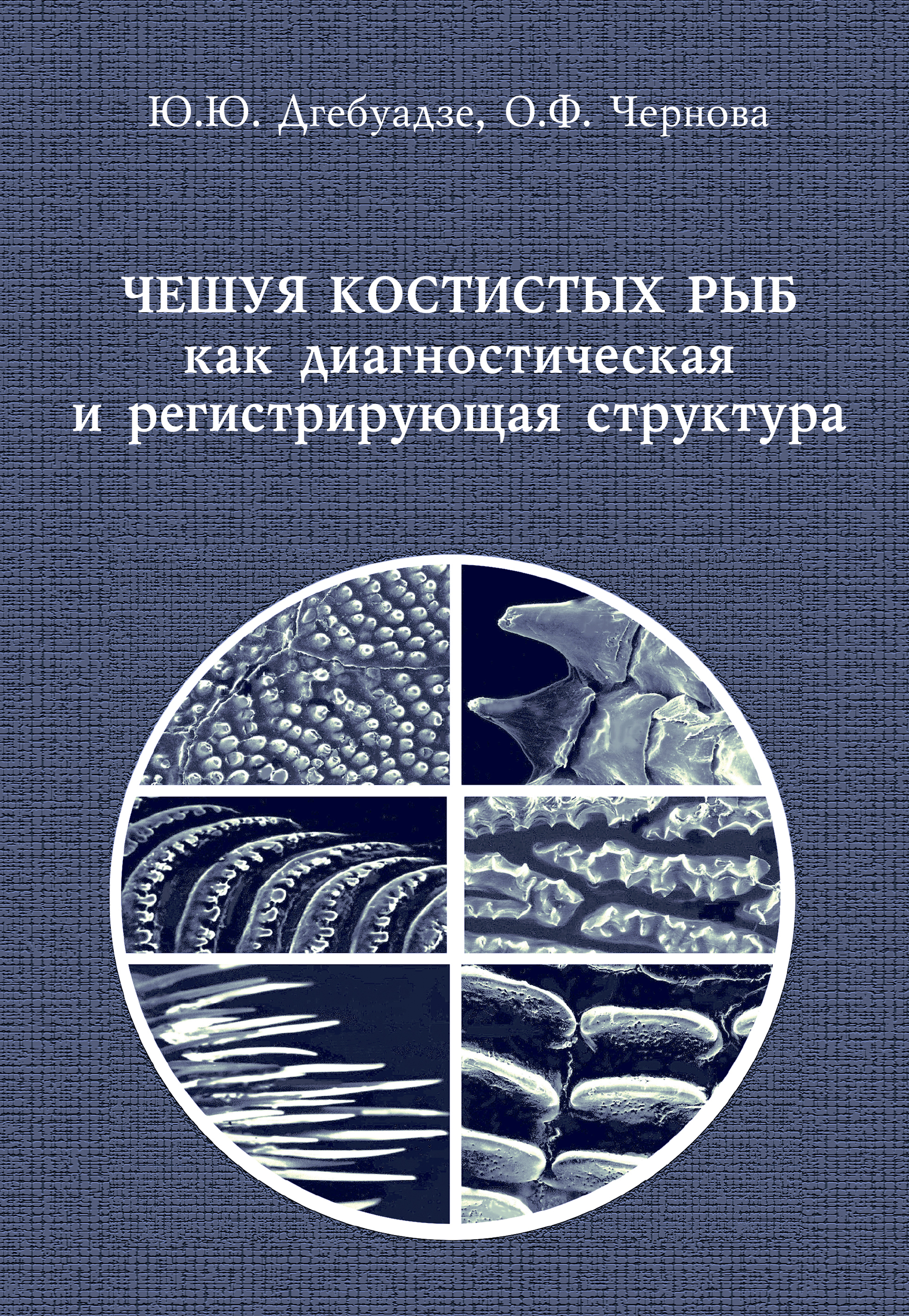Обложка книги «Чешуя костистых рыб как диагностическая и регистрирующая структура»