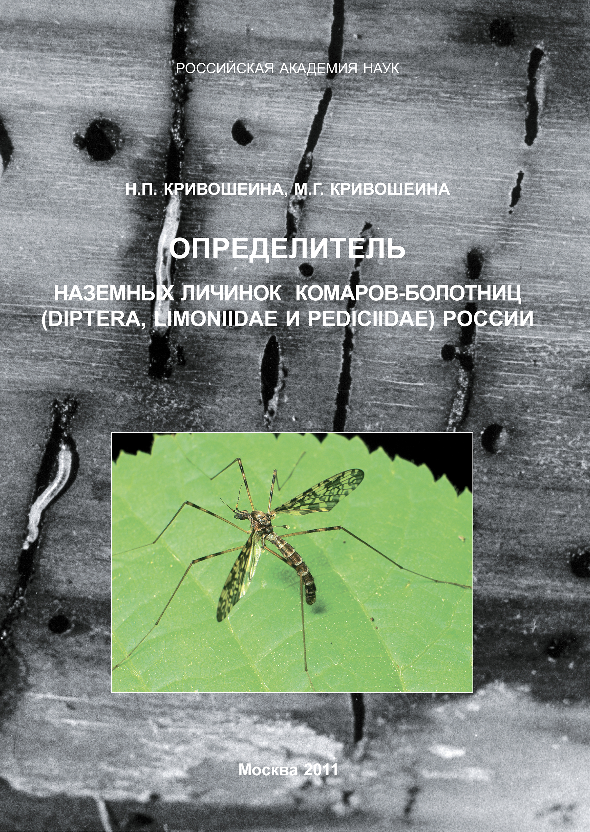 Обложка книги «Определитель наземных личинок комаров-болотниц (Diptera, Limoniidae и Pediciidae) России»