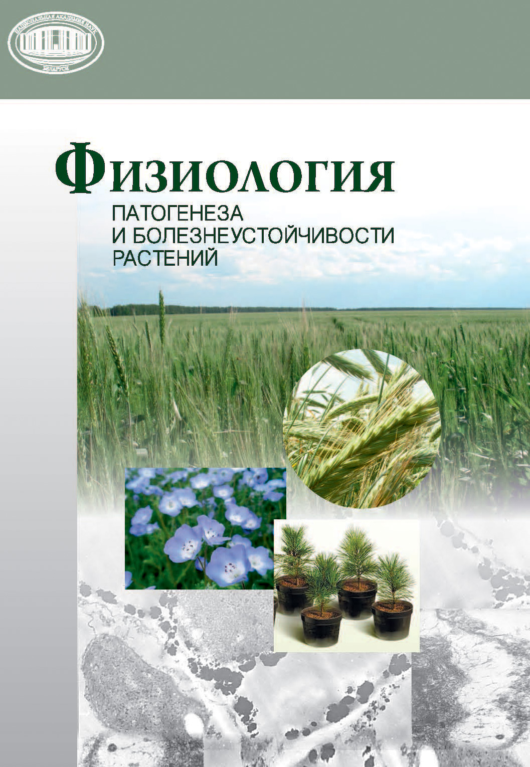 Обложка книги «Физиология патогенеза и болезнеустойчивости растений»