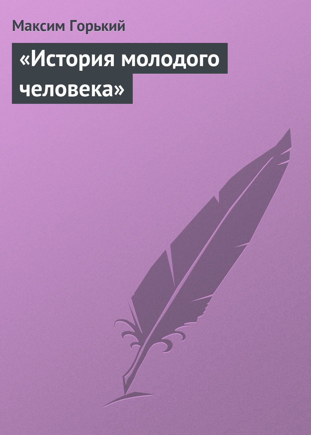 Обложка книги ««История молодого человека»»