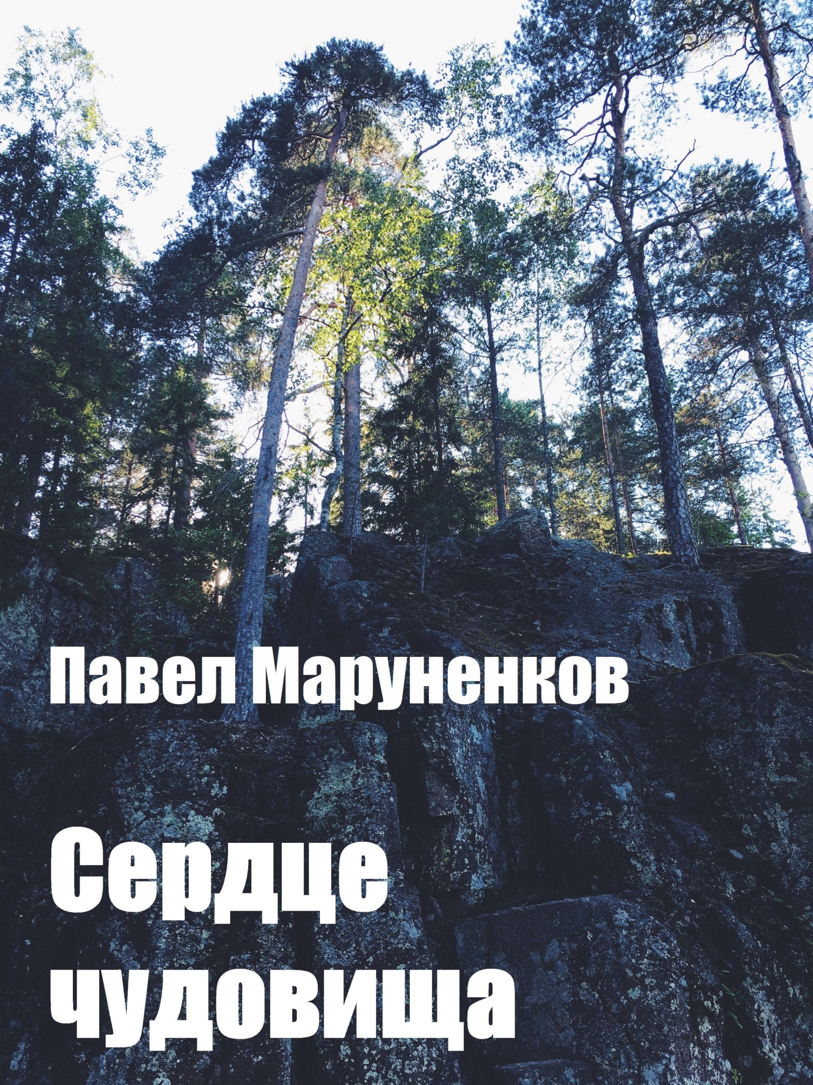Обложка книги «Сердце чудовища»