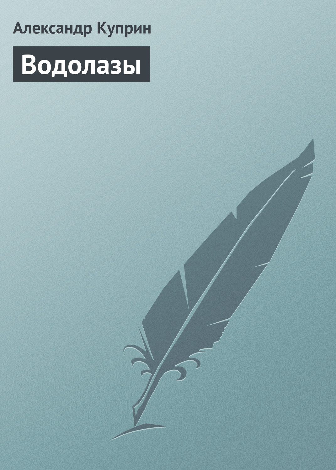 Обложка книги «Водолазы»