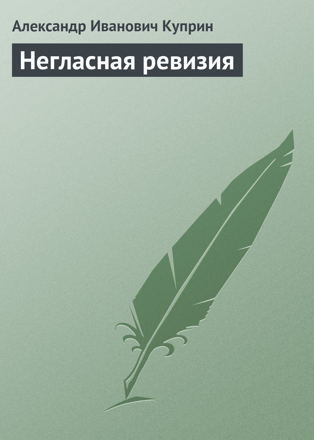 Обложка книги «Негласная ревизия»