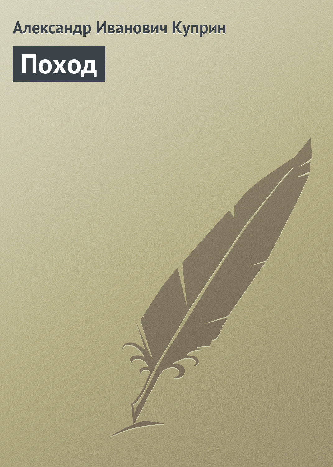 Обложка книги «Поход»