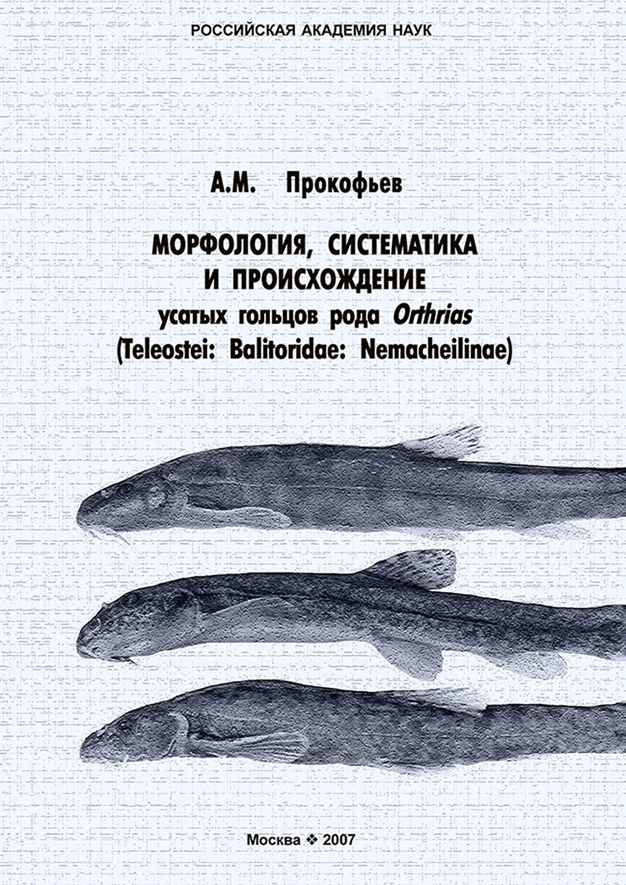 Обложка книги «Морфология, систематика и происхождение усатых гольцов рода Orthrias (Teleostei: Balitoridae: Nemacheilinae)»