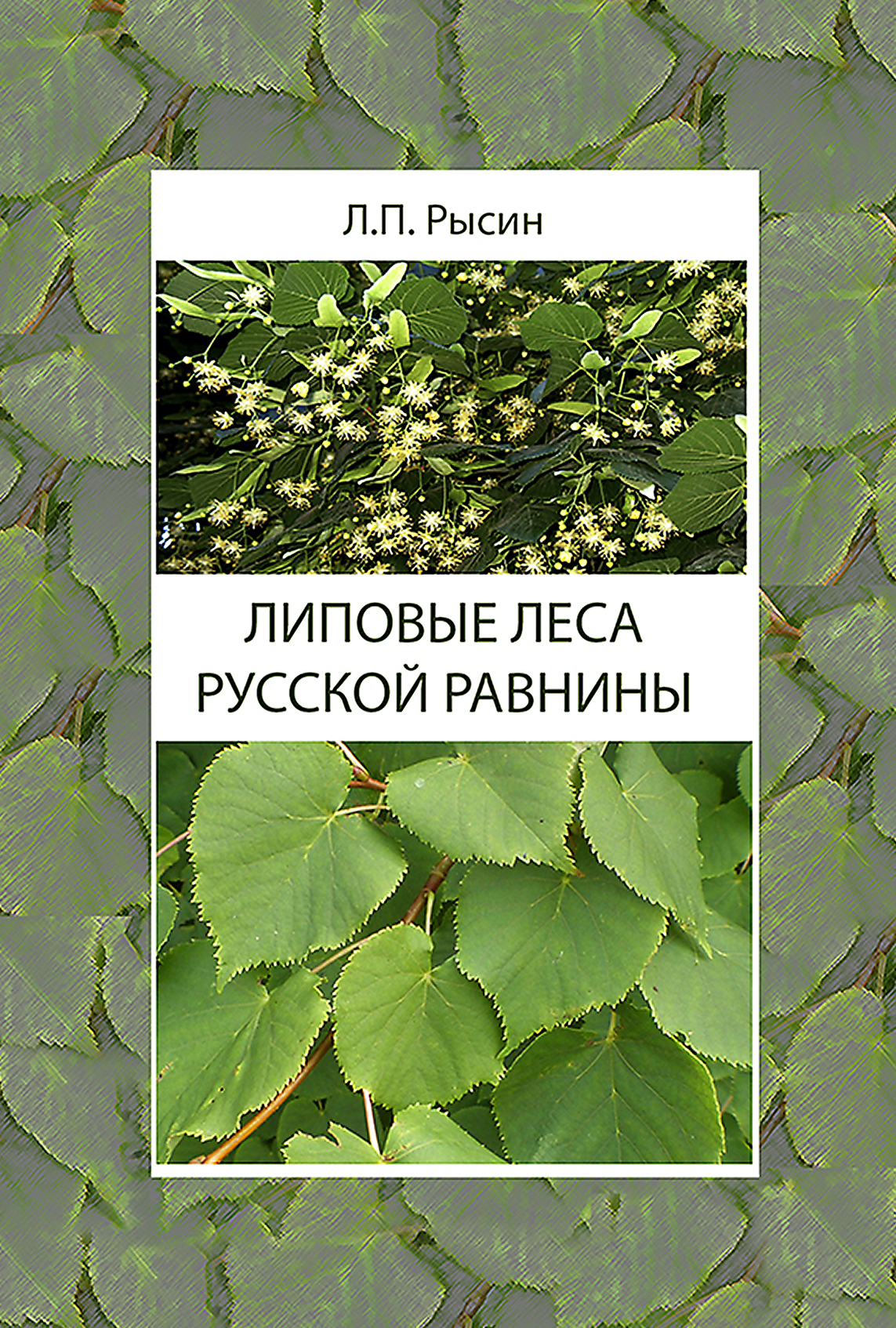 Обложка книги «Липовые леса Русской равнины»