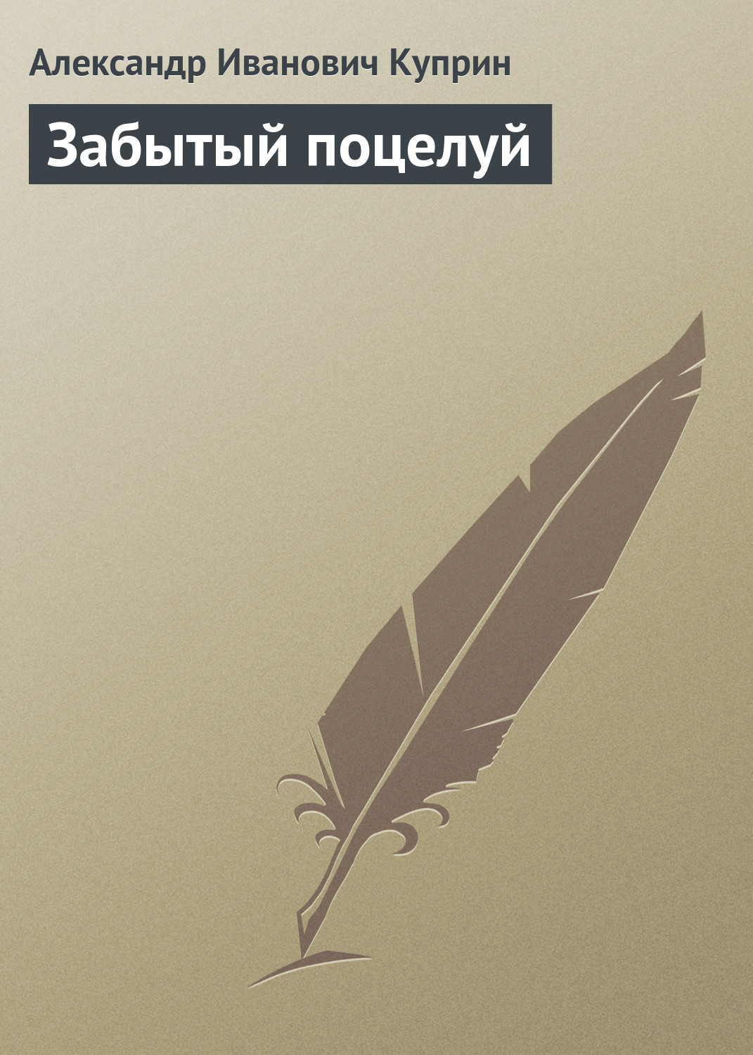 Обложка книги «Забытый поцелуй»