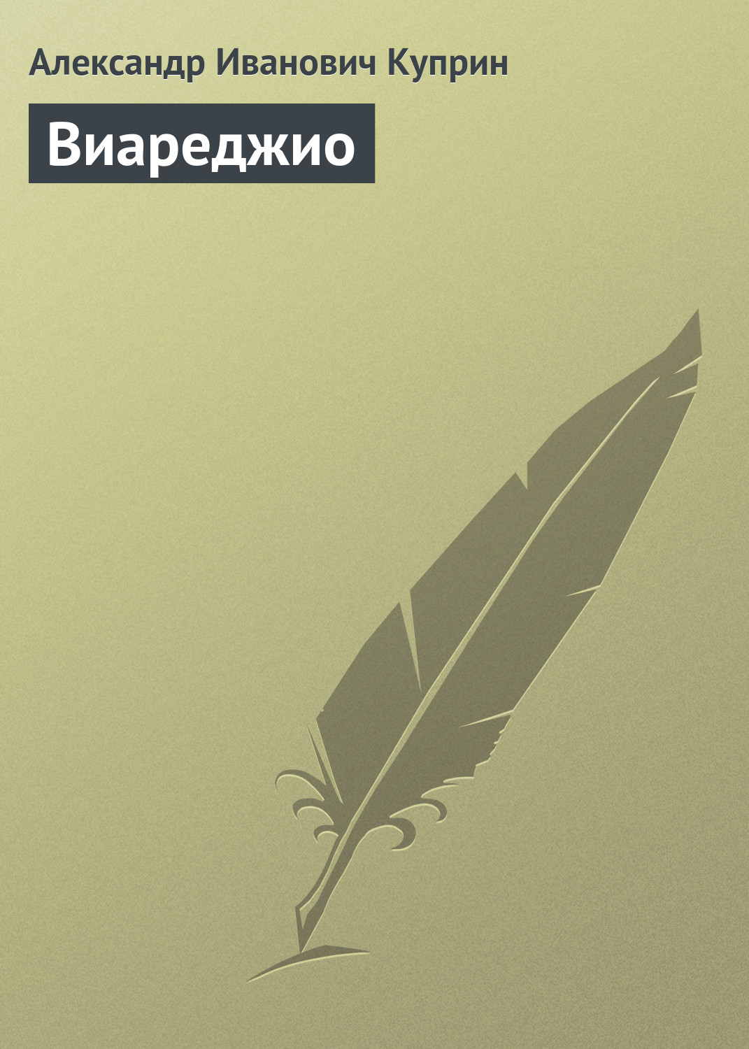 Обложка книги «Виареджио»