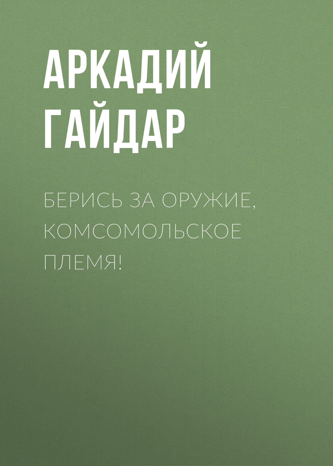 Обложка книги «Берись за оружие, комсомольское племя!»