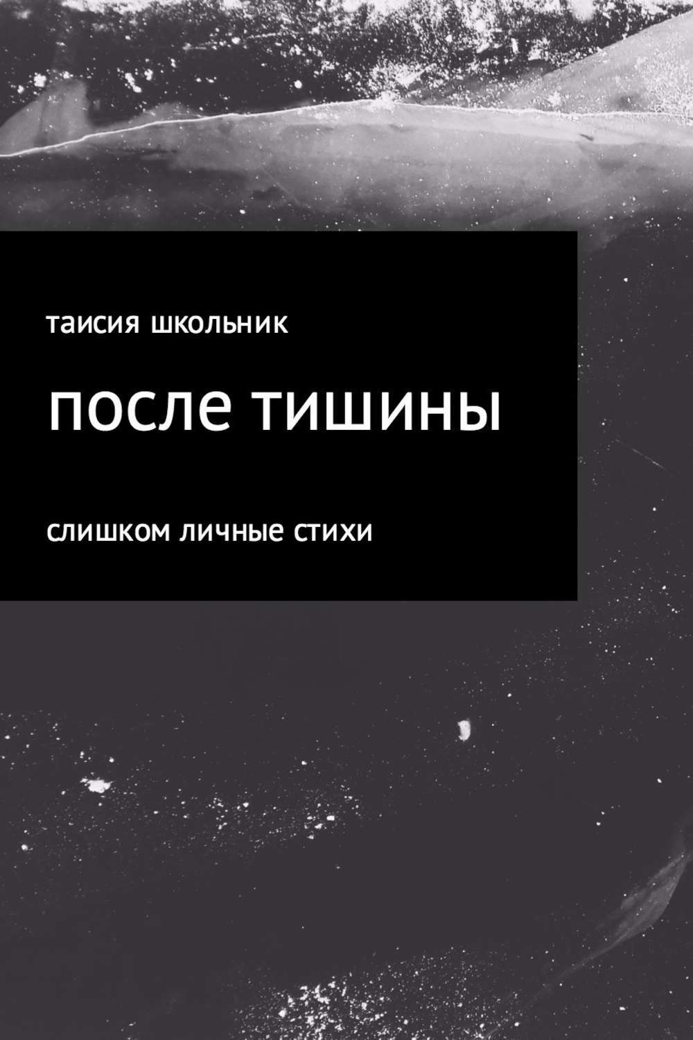 Обложка книги «После тишины»