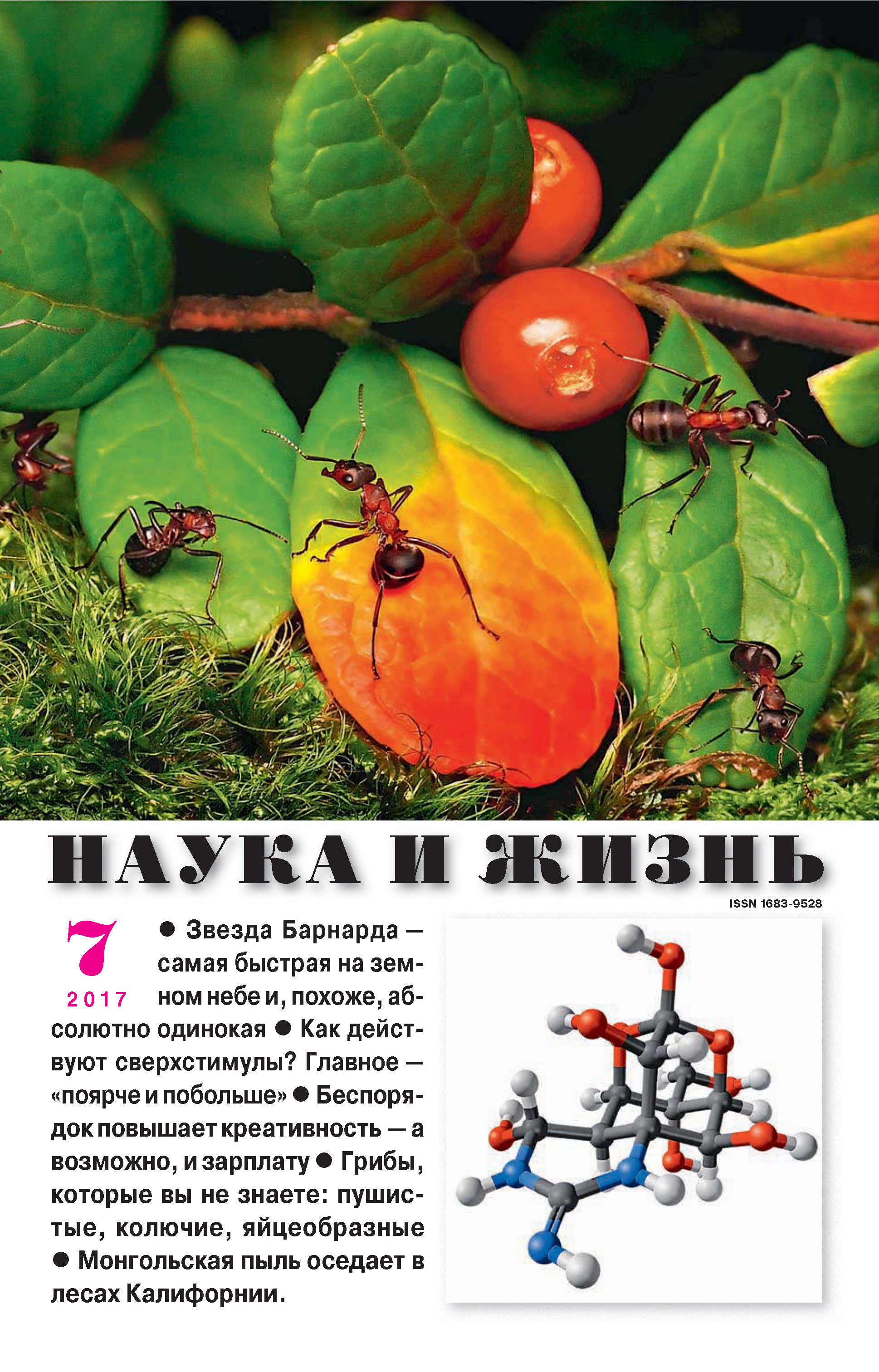 Обложка книги «Наука и жизнь №07/2017»