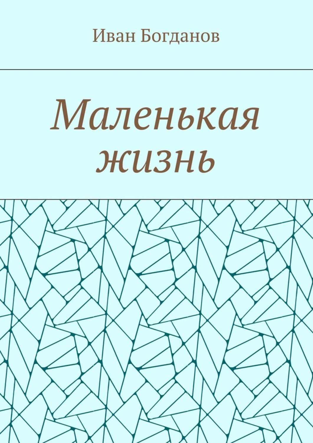 Обложка книги «Маленькая жизнь»