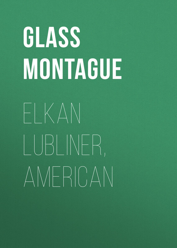 Обложка книги «Elkan Lubliner, American»