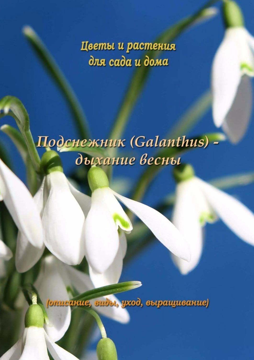 Обложка книги «Подснежник (Galanthus) – дыхание весны»