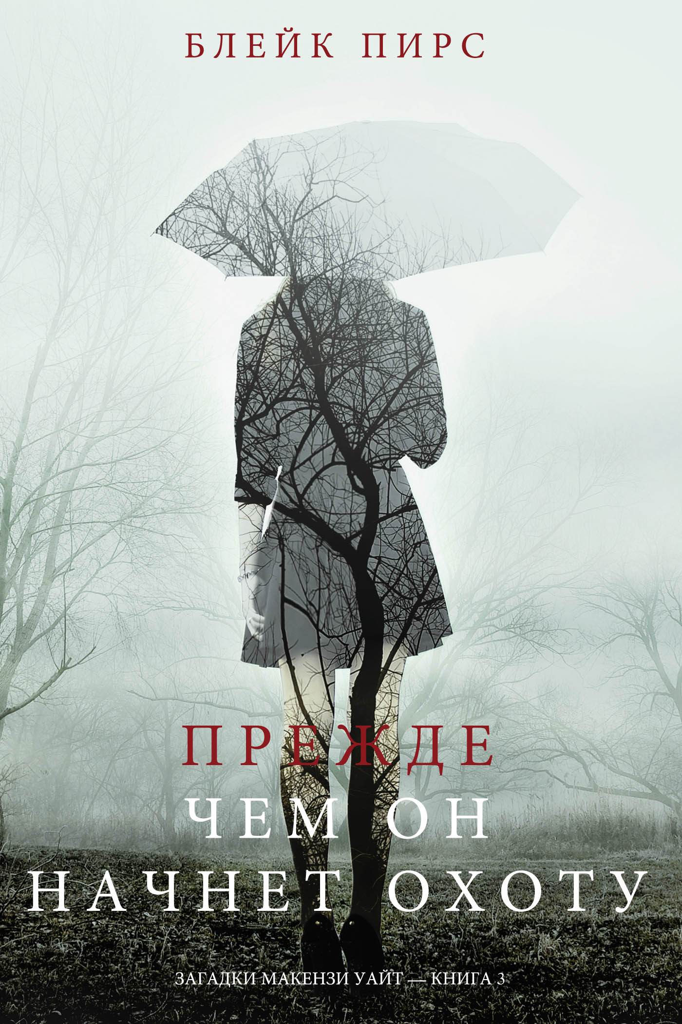 Обложка книги «Прежде чем он начнёт охоту»