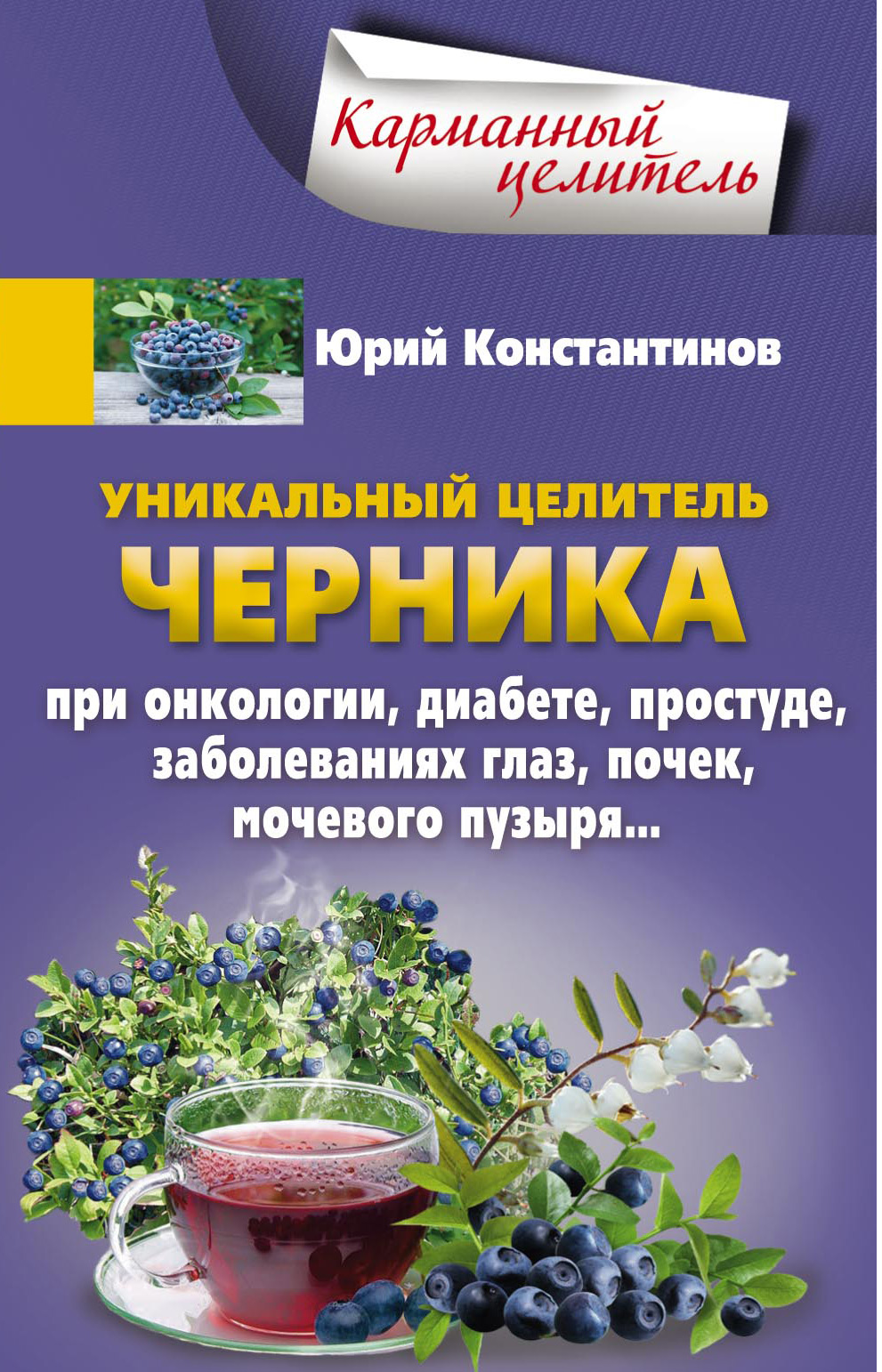 Обложка книги «Уникальный целитель черника. При онкологии, диабете, простуде, заболеваниях глаз, почек, мочевого пузыря…»