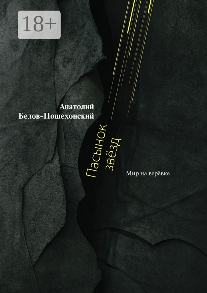 Обложка книги «Пасынок звёзд. Мир на верёвке»