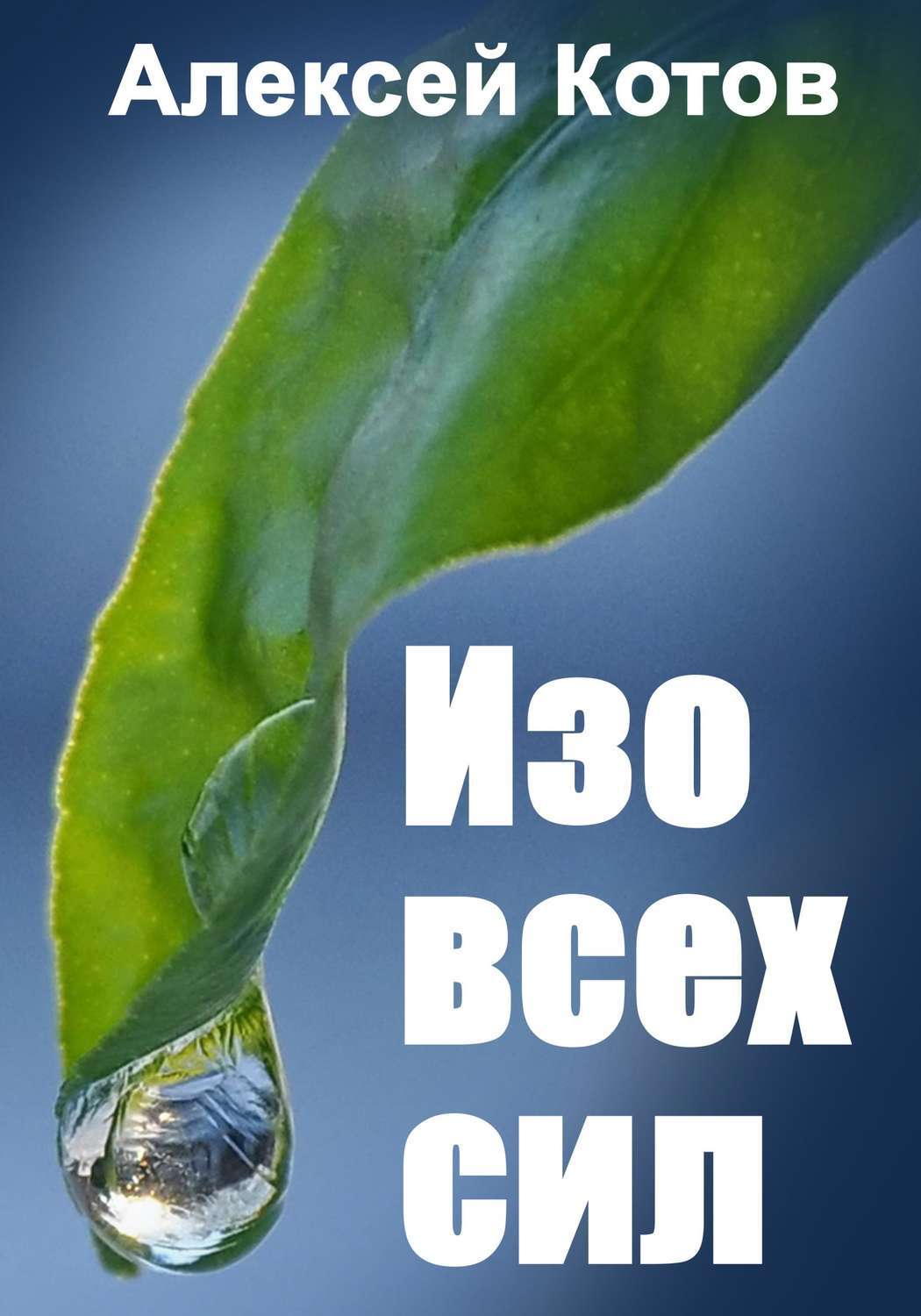 Обложка книги «Изо всех сил»