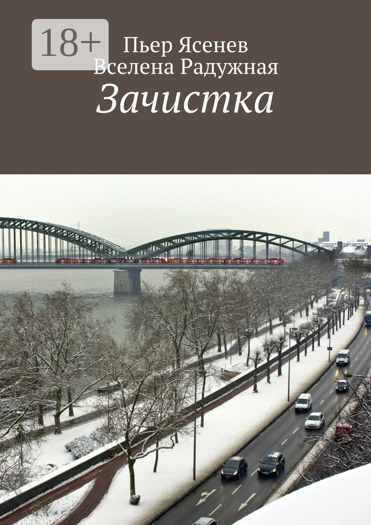 Обложка книги «Зачистка»