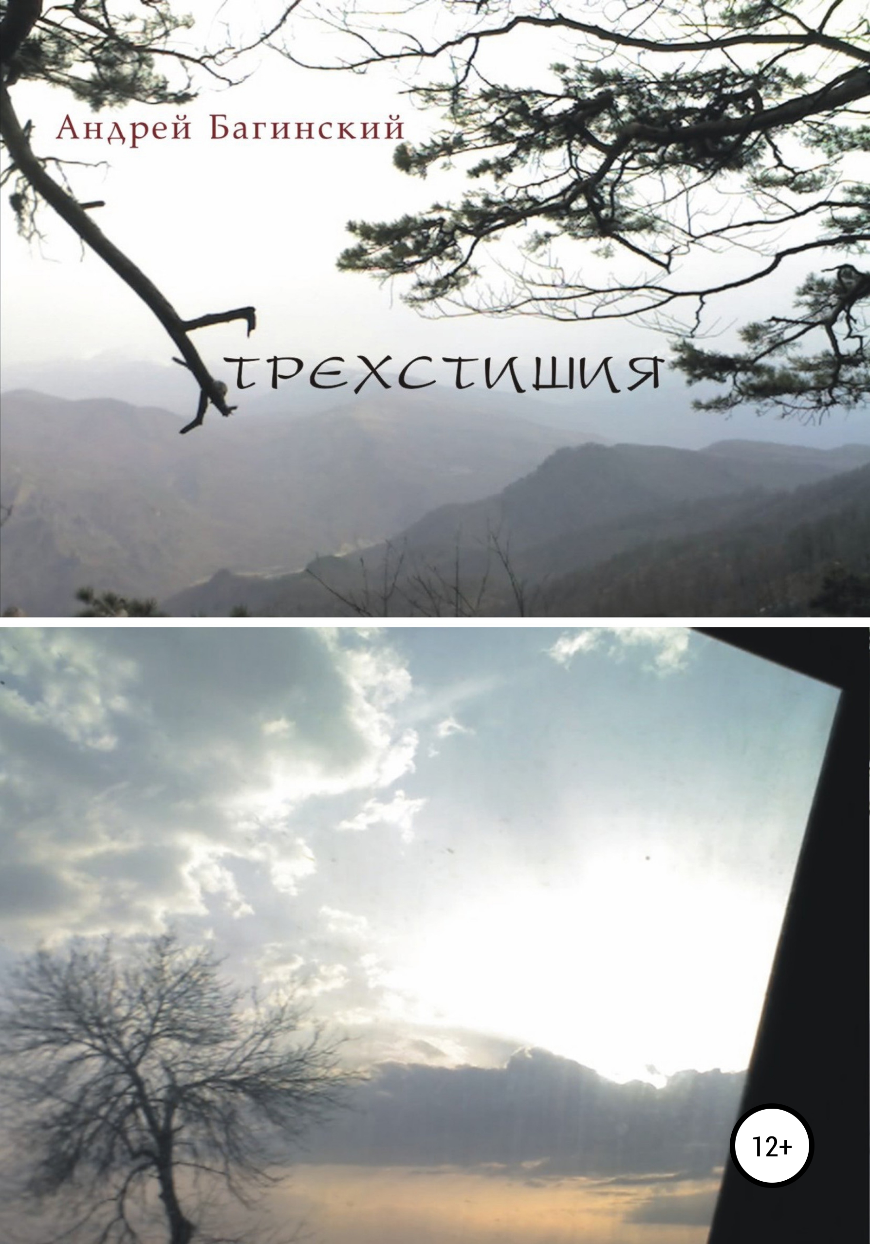 Обложка книги «Трехстишия»