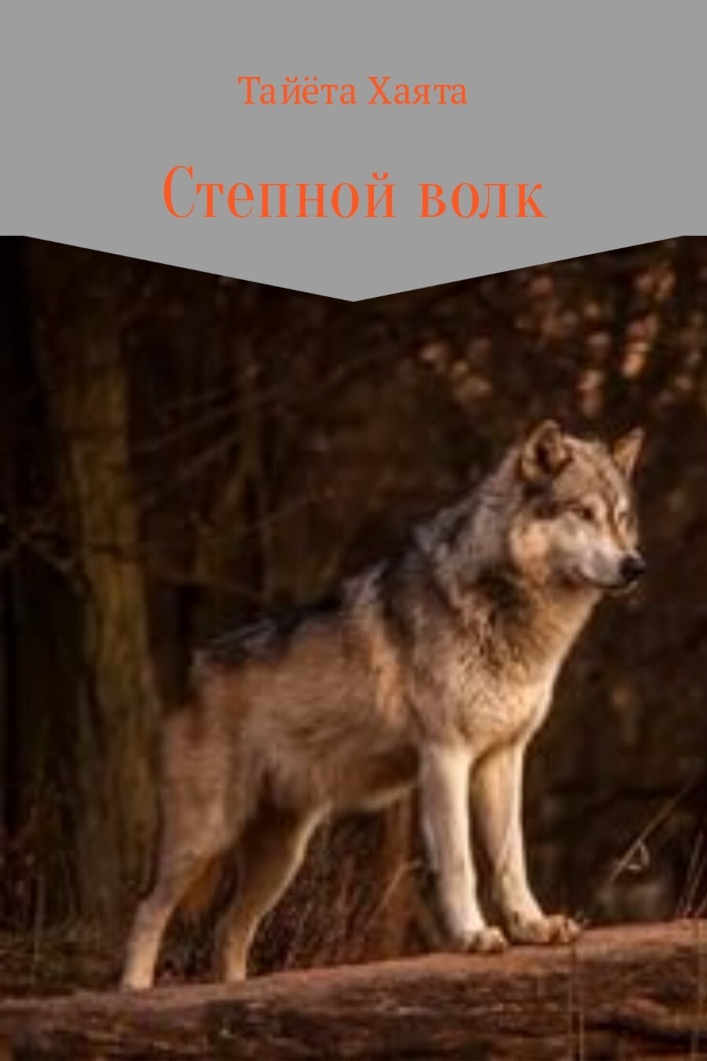 Обложка книги «Степной волк»