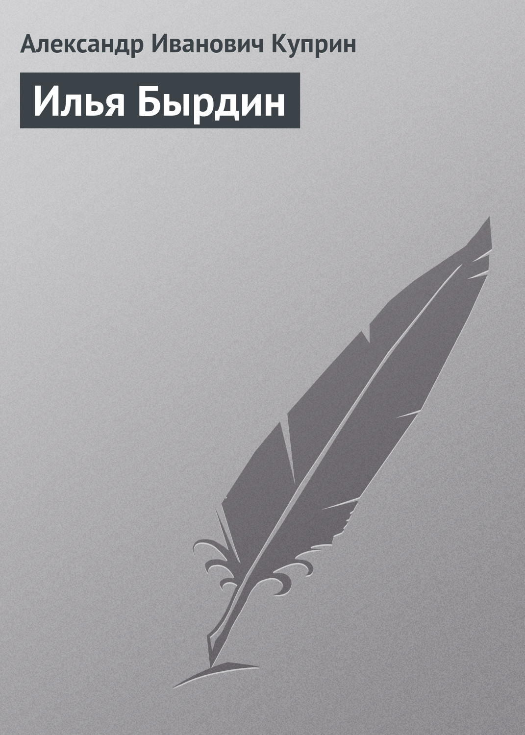 Обложка книги «Илья Бырдин»