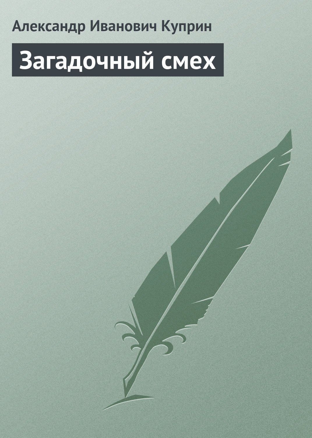 Обложка книги «Загадочный смех»