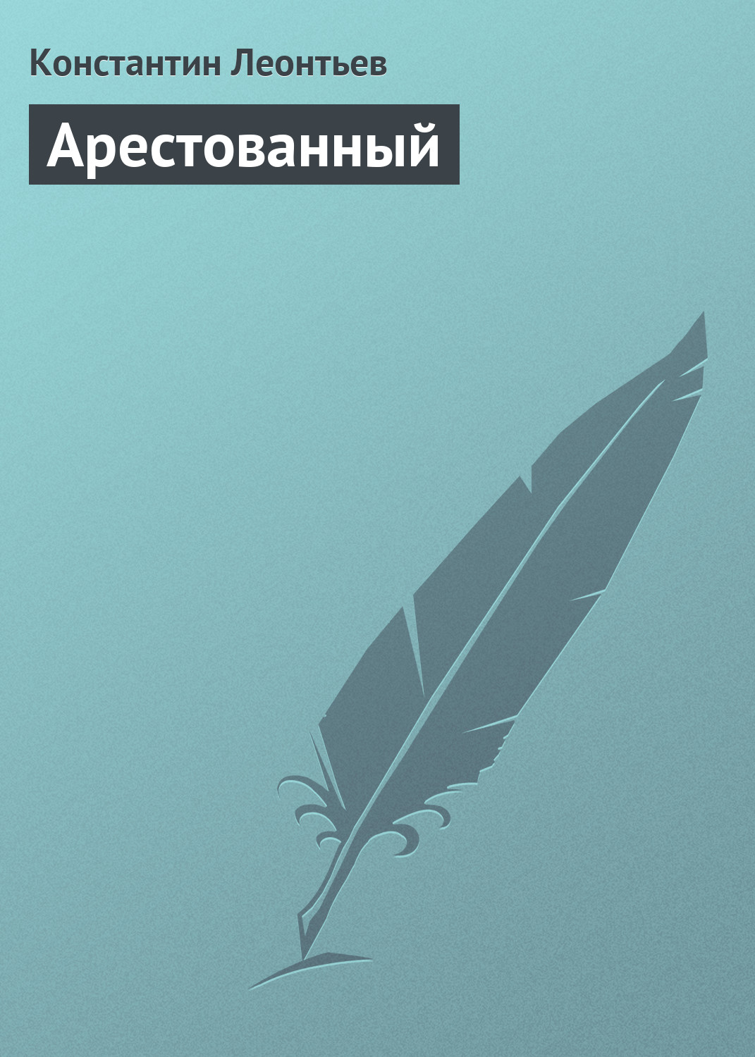 Обложка книги «Арестованный»