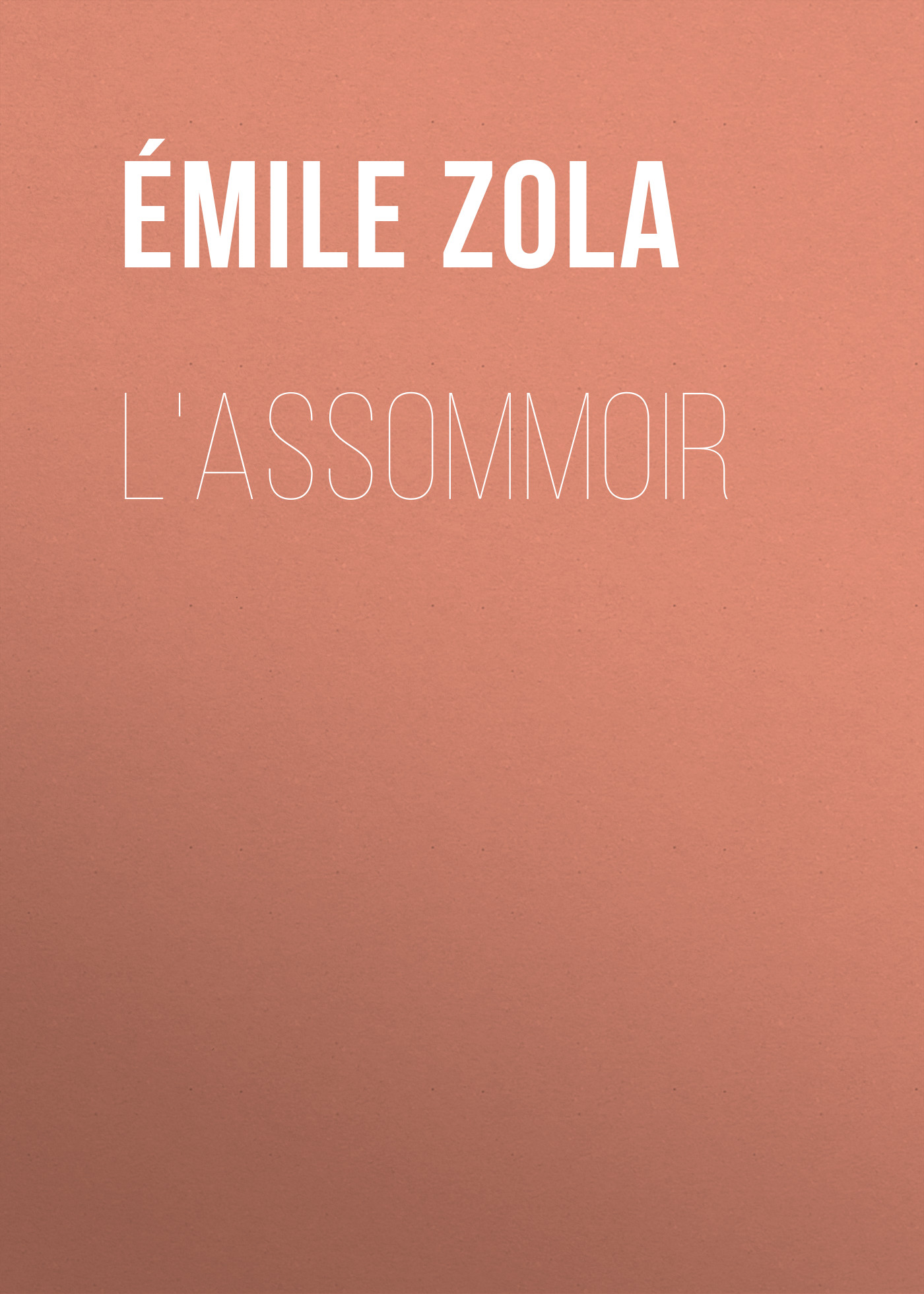 Обложка книги «L'Assommoir»