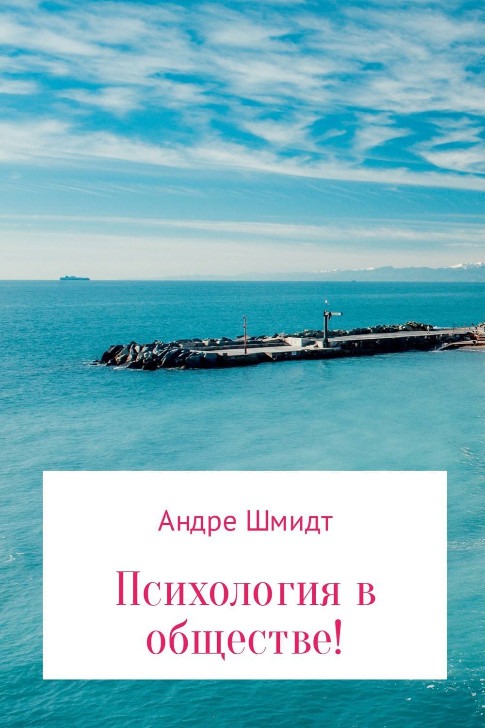 Обложка книги «Психология в обществе»