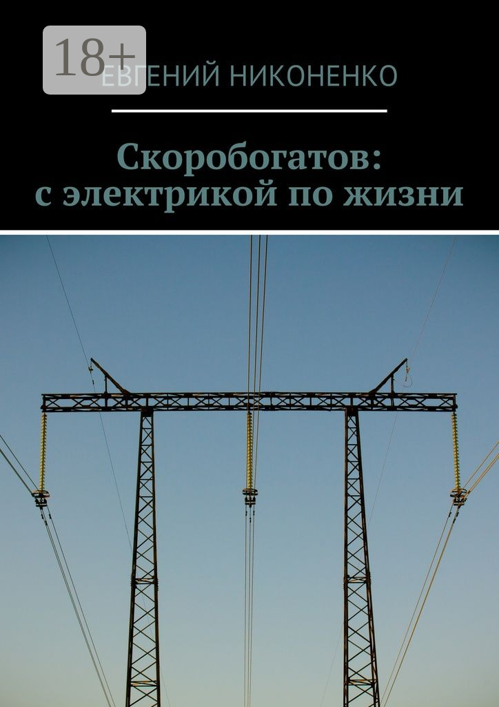 Обложка книги «Скоробогатов: с электрикой по жизни»