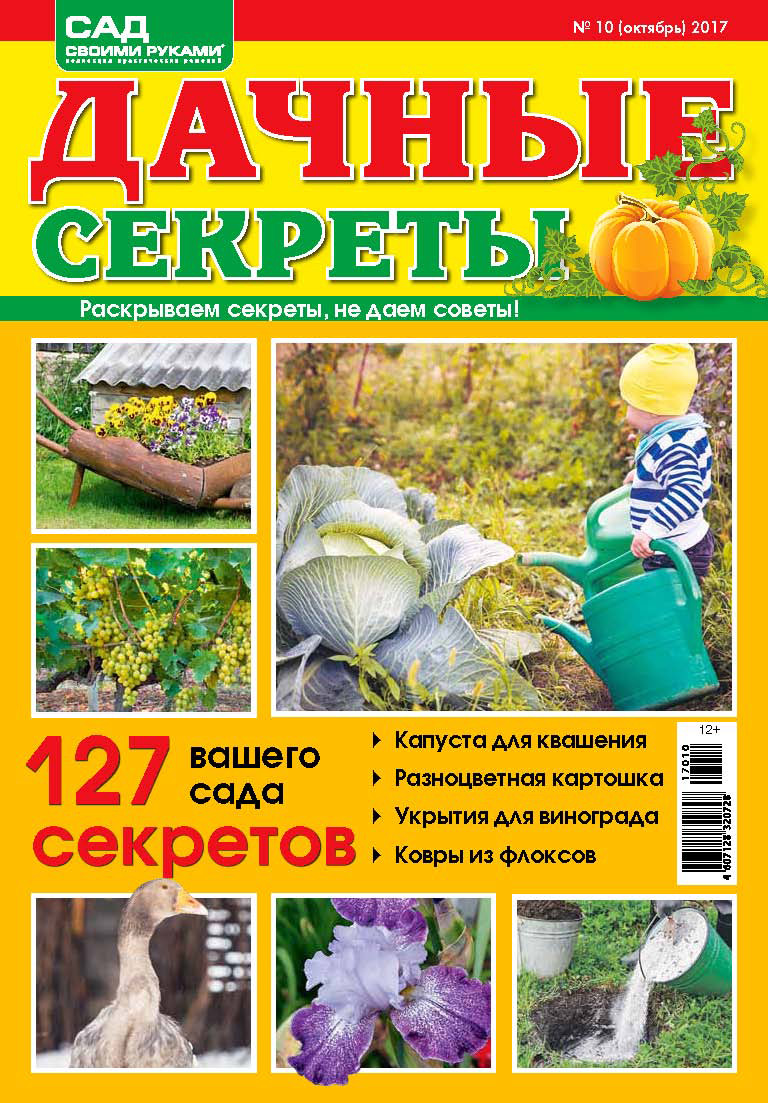 Обложка книги «Сад своими руками. Дачные секреты №10/2017»