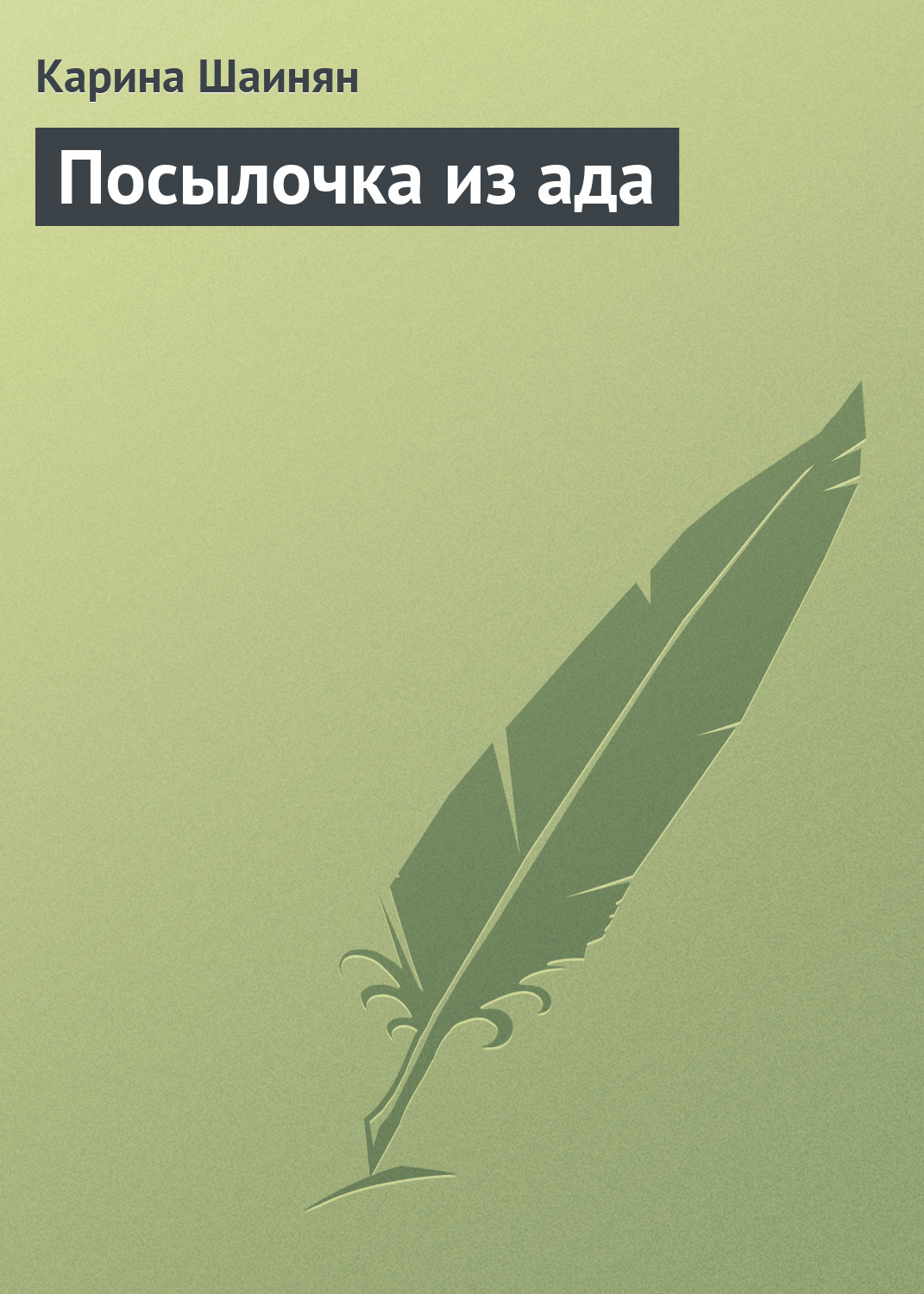 Обложка книги «Посылочка из ада»